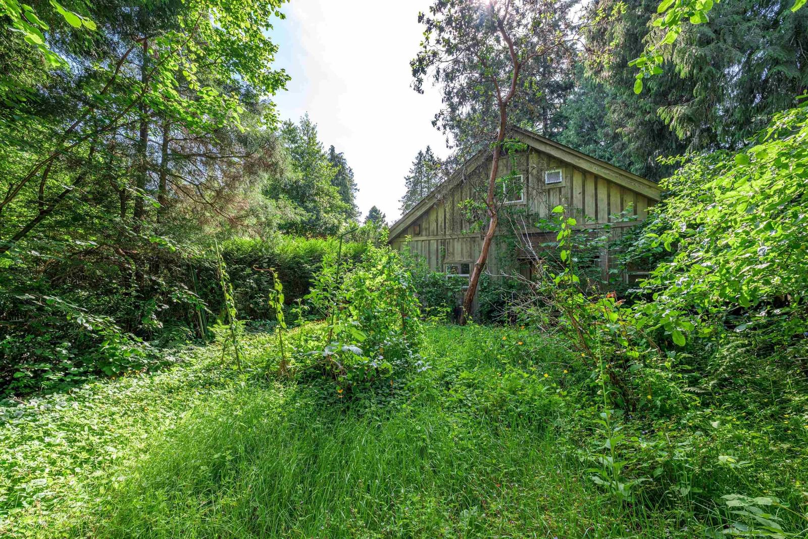 Listing Image 19