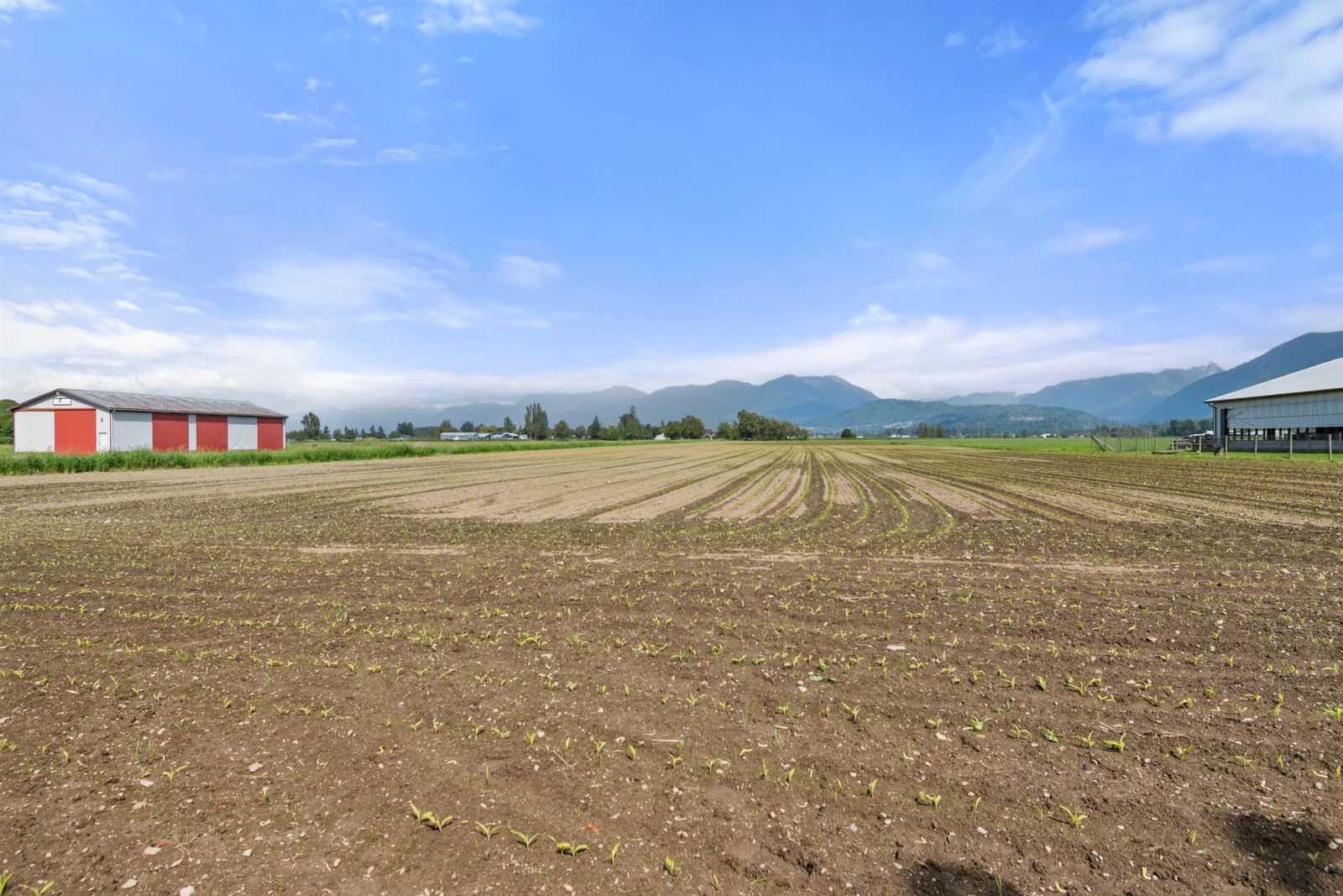 Listing Image 27