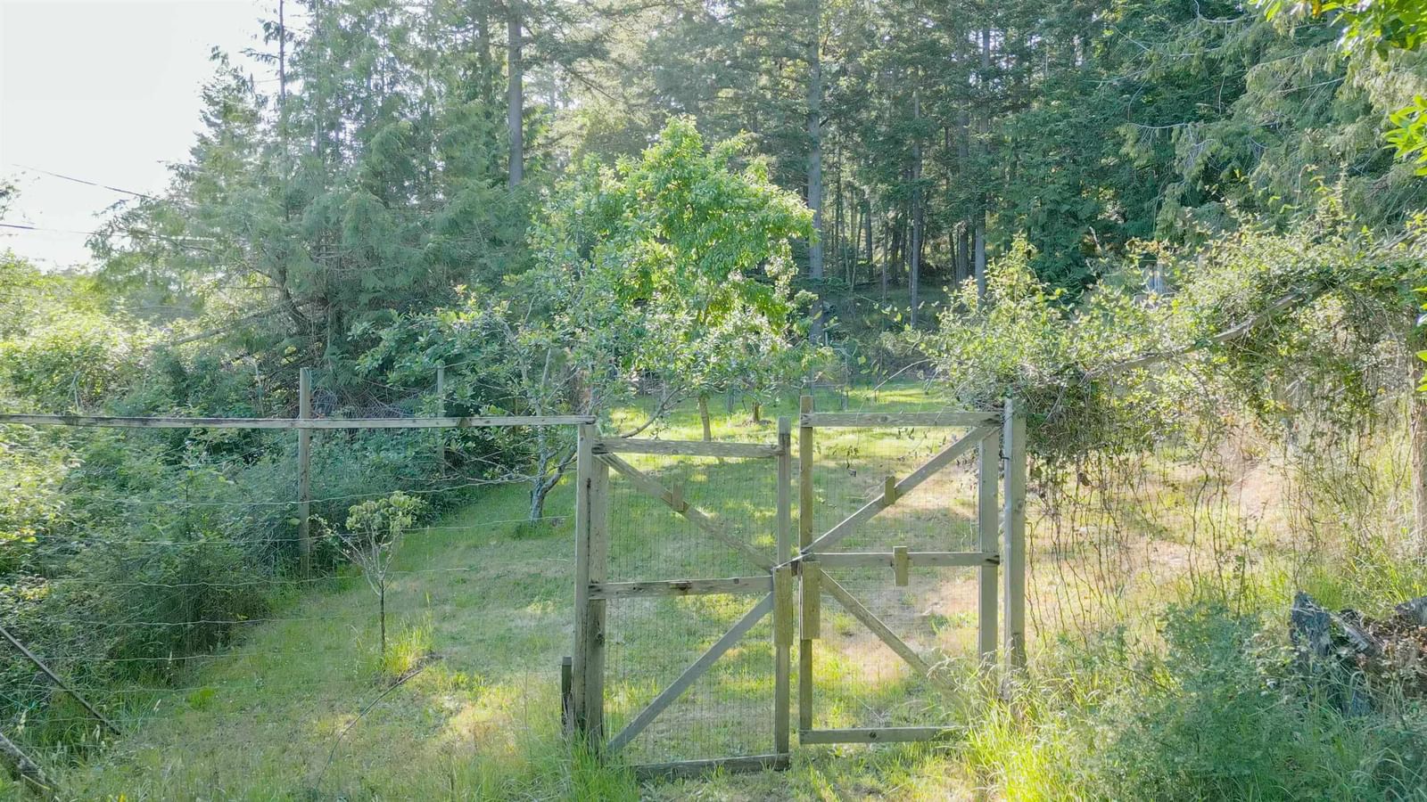 Listing Image 40