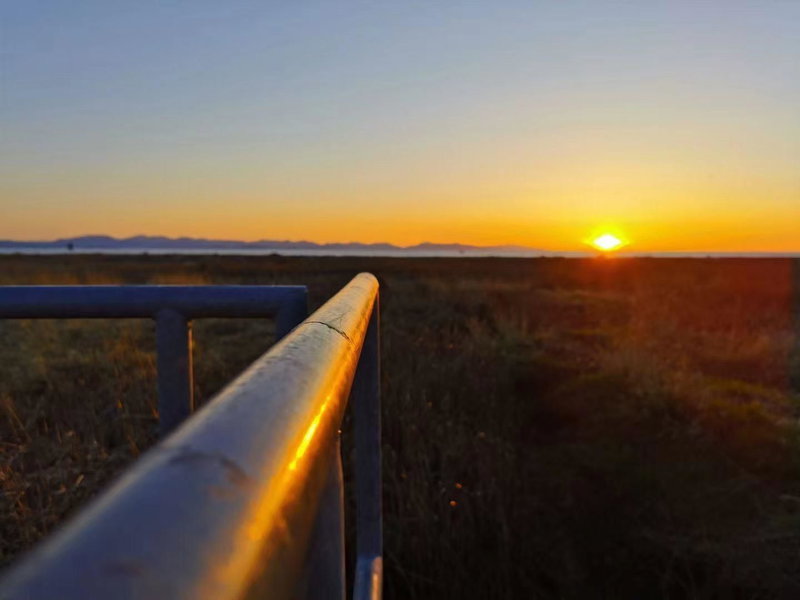 92 - 3088 Francis Road, Richmond, V7C 5V9 | Image 3