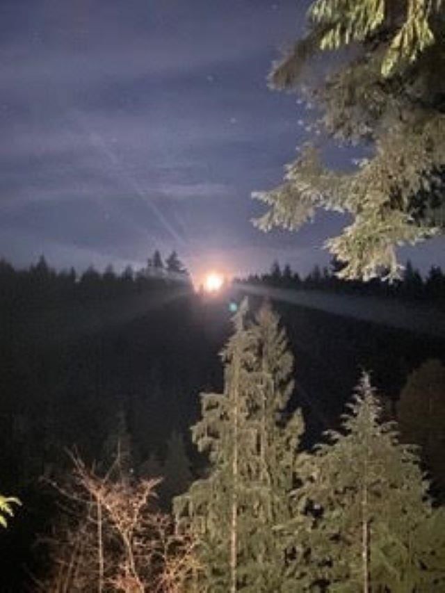 Listing Image 34