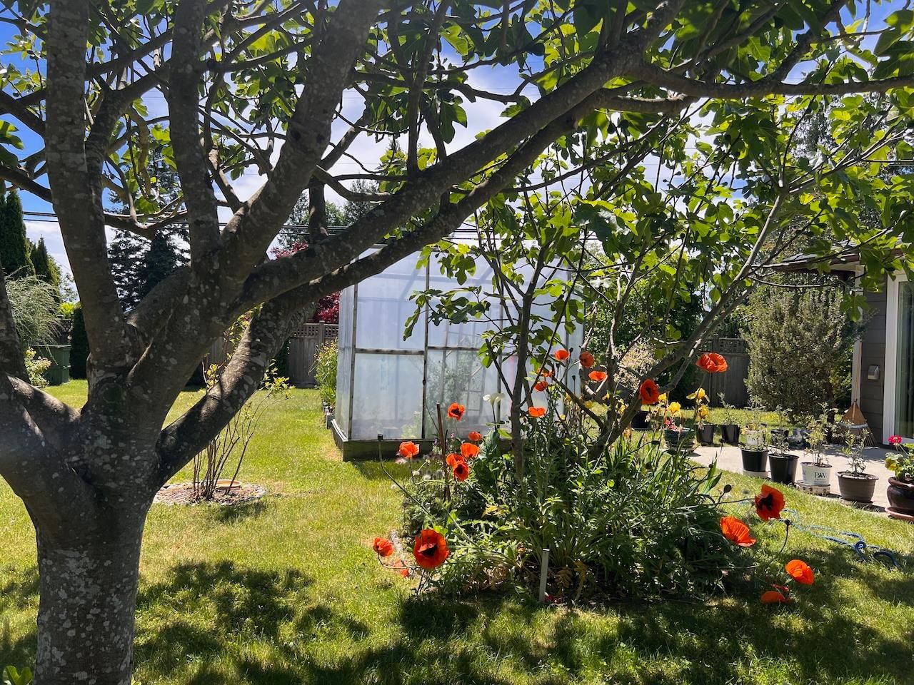 Listing Image 16