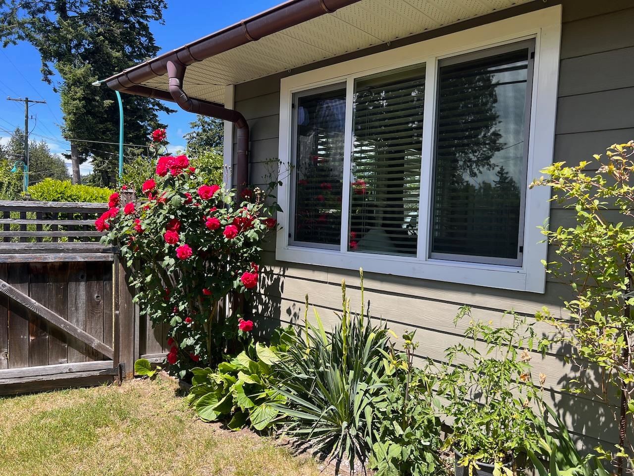 Listing Image 24