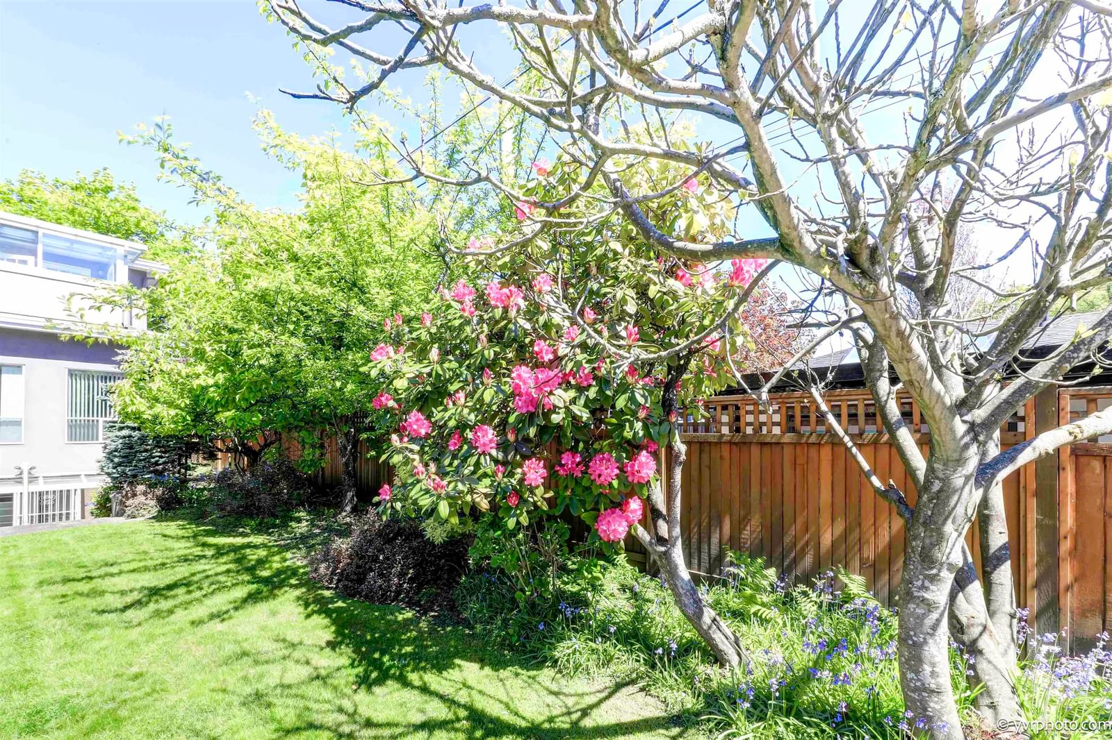 Listing Image 34