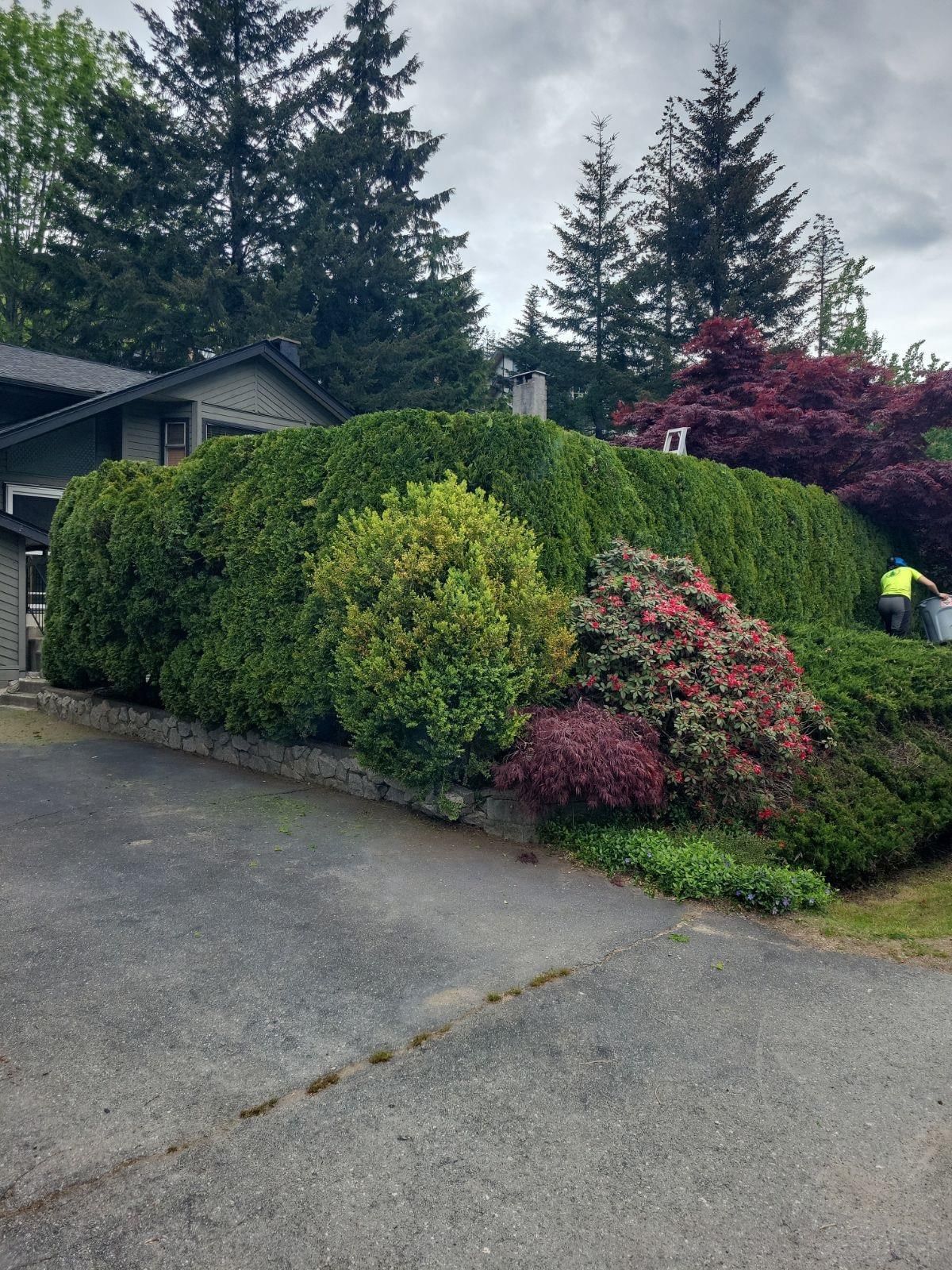 Listing Image 31