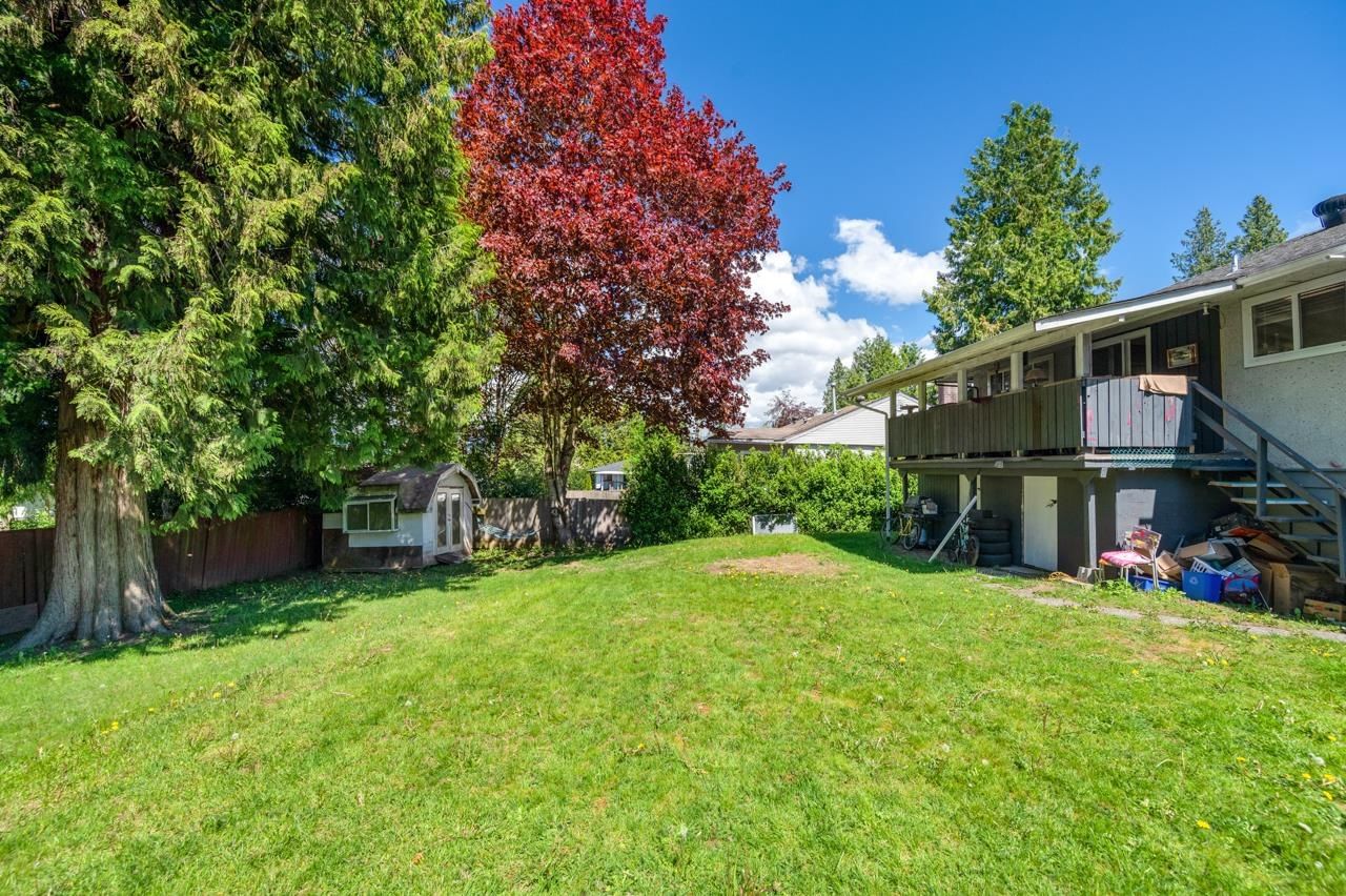 Listing Image 11