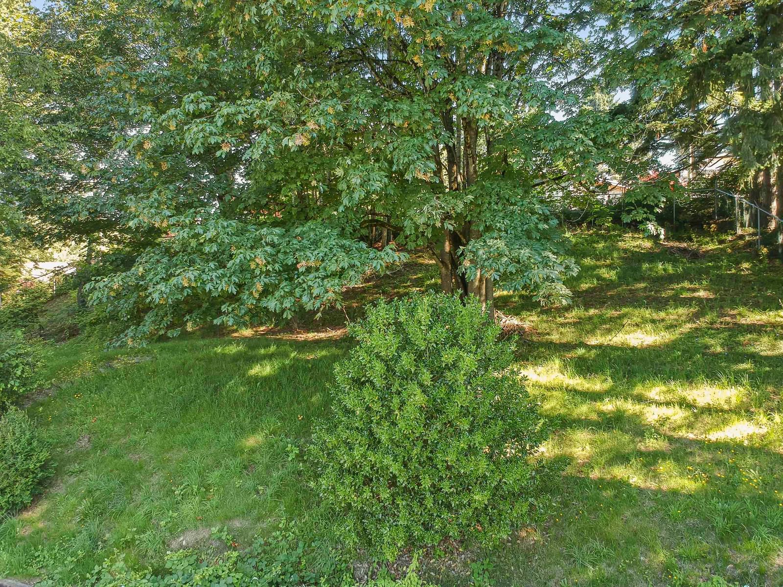 Listing Image 24