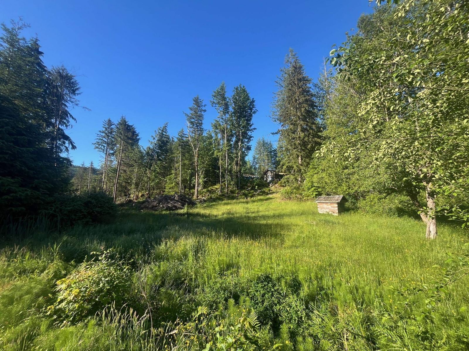 Listing Image 17