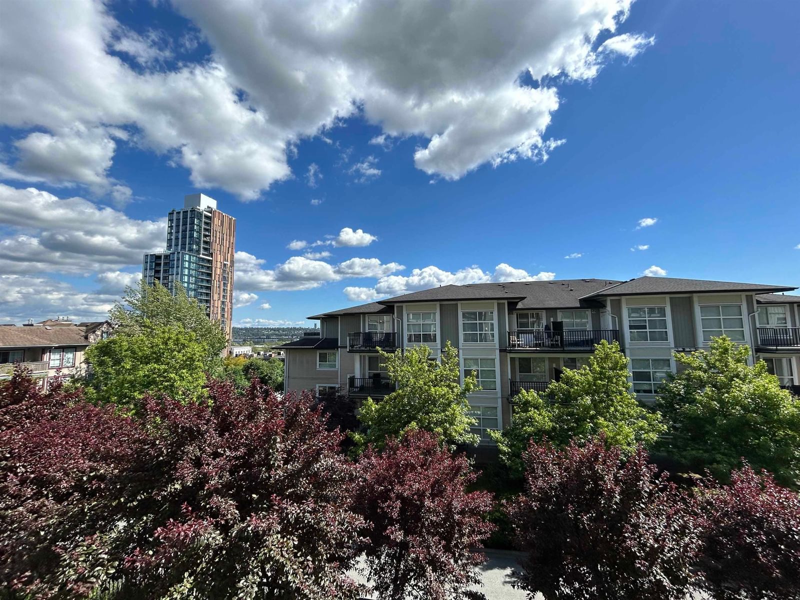 Listing Image 28