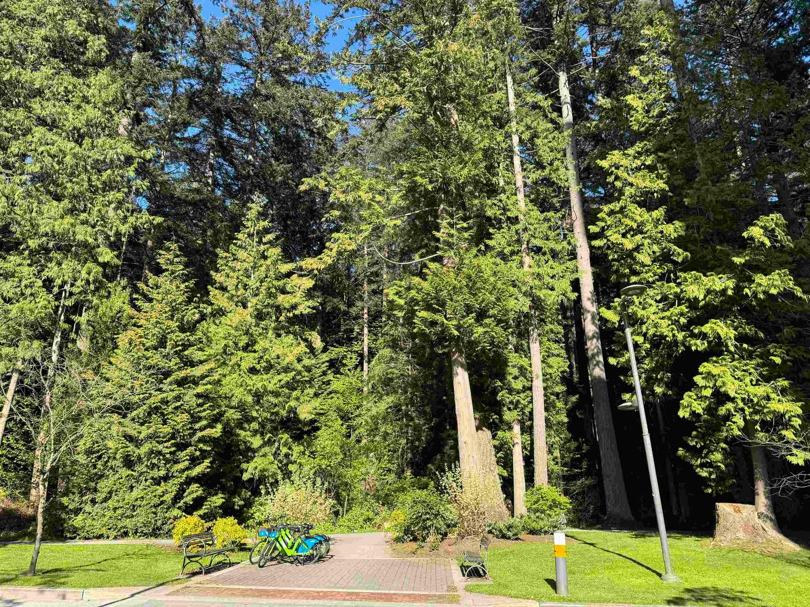 Listing Image 23