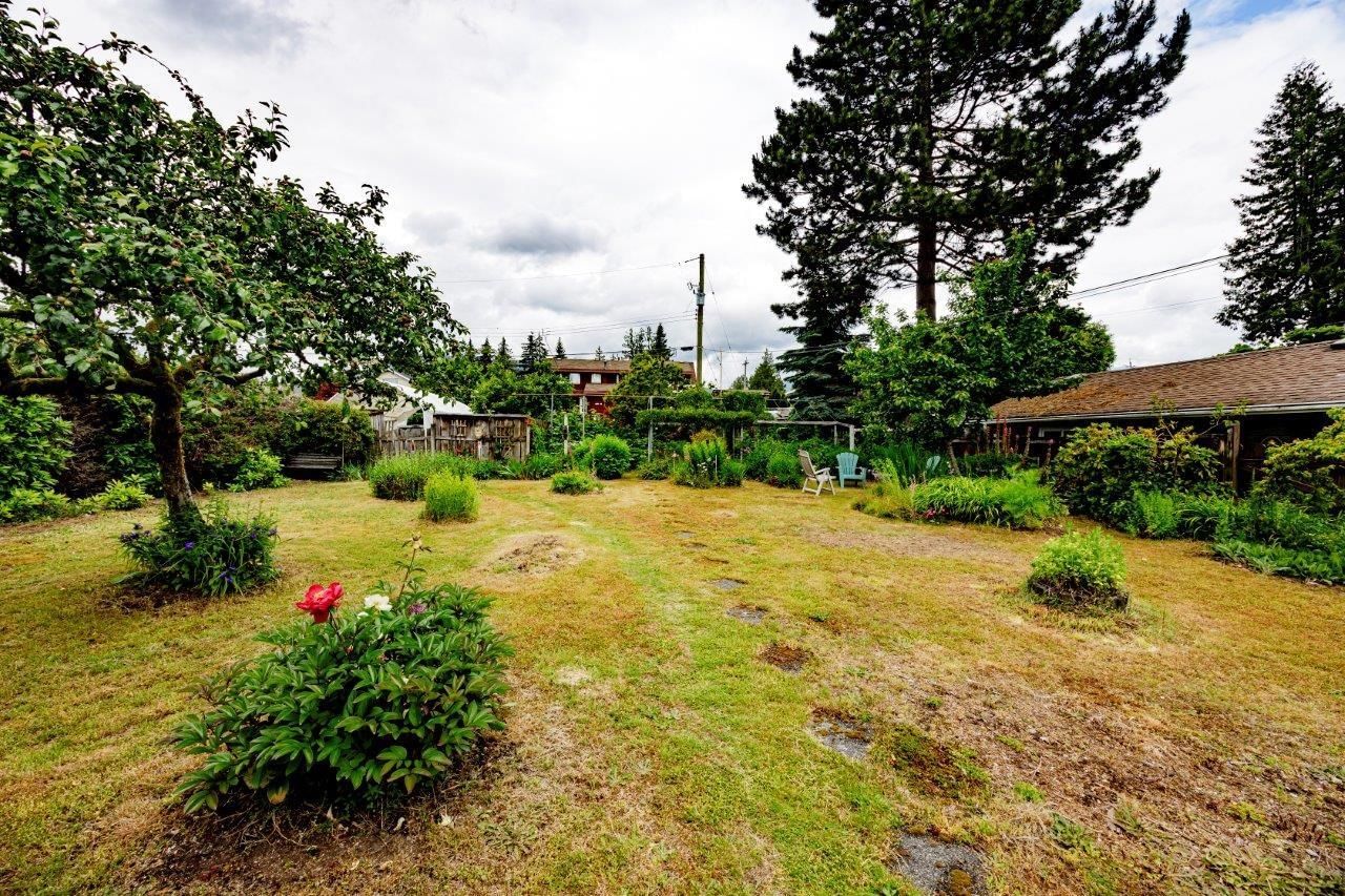Listing Image 14
