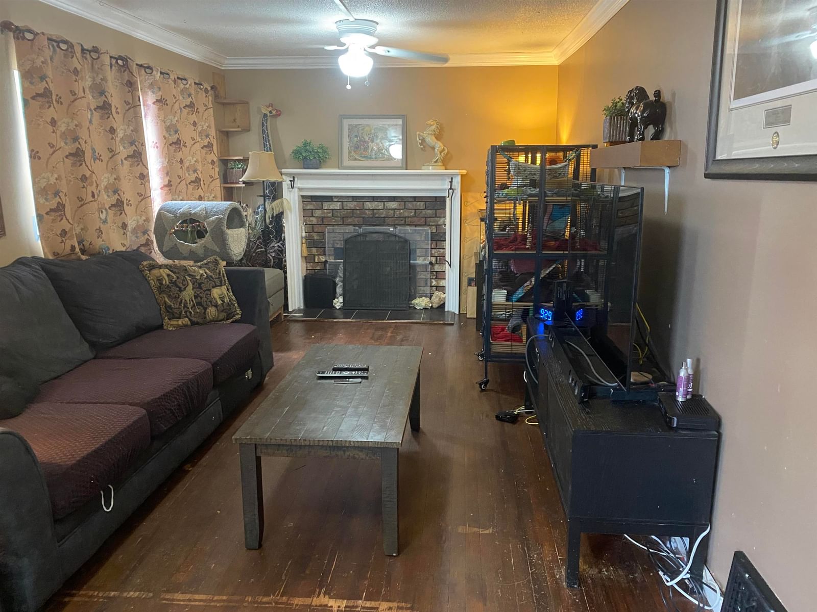 Listing Image 12