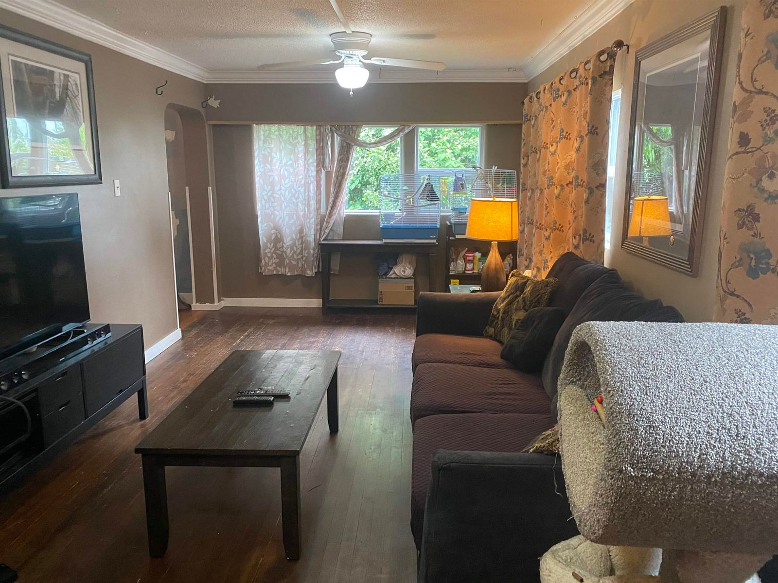 Listing Image 13
