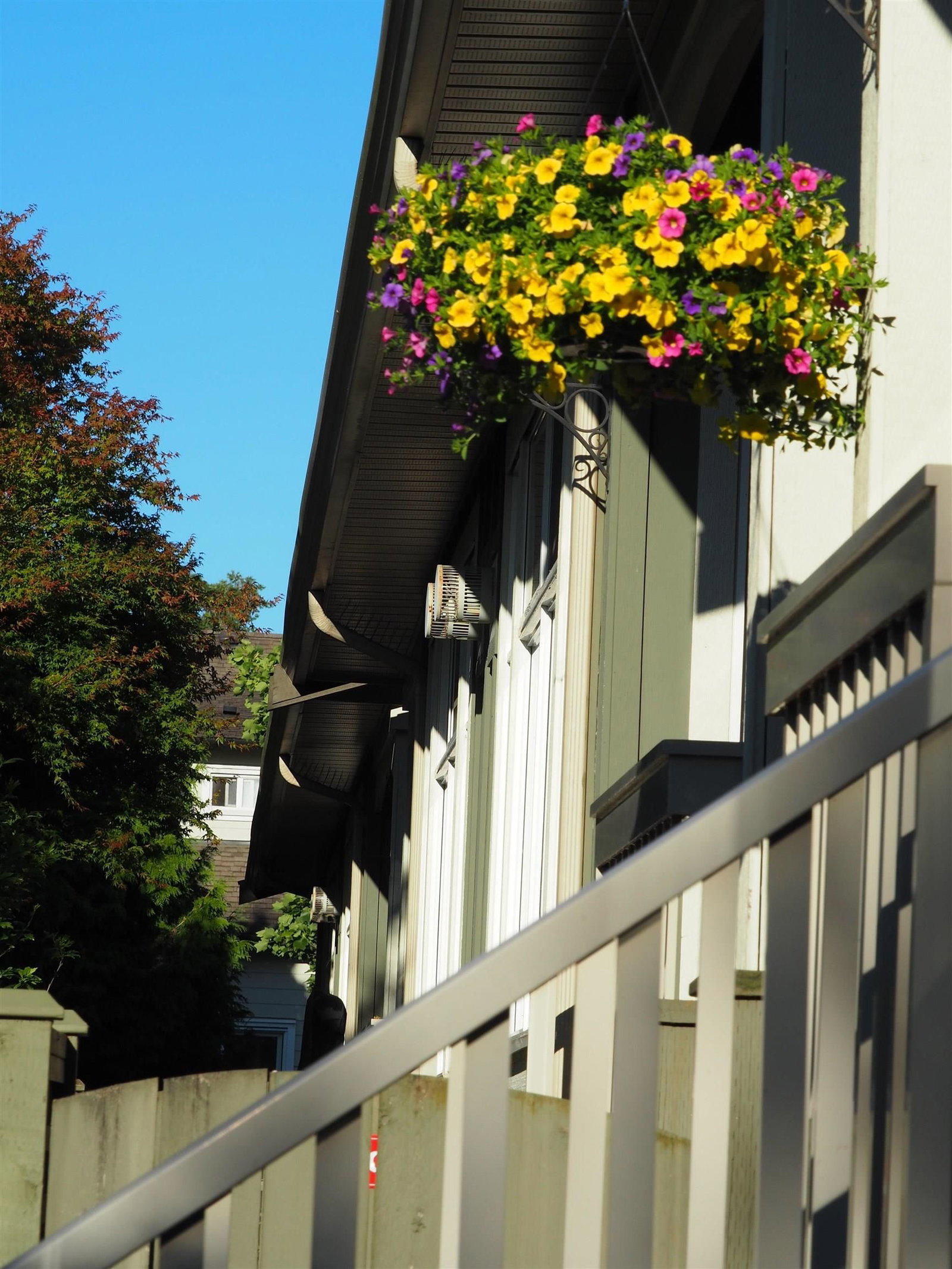 Listing Image 17
