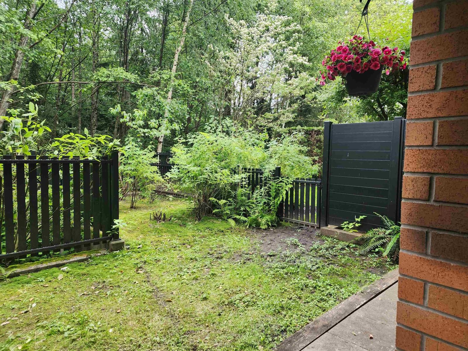 Listing Image 14
