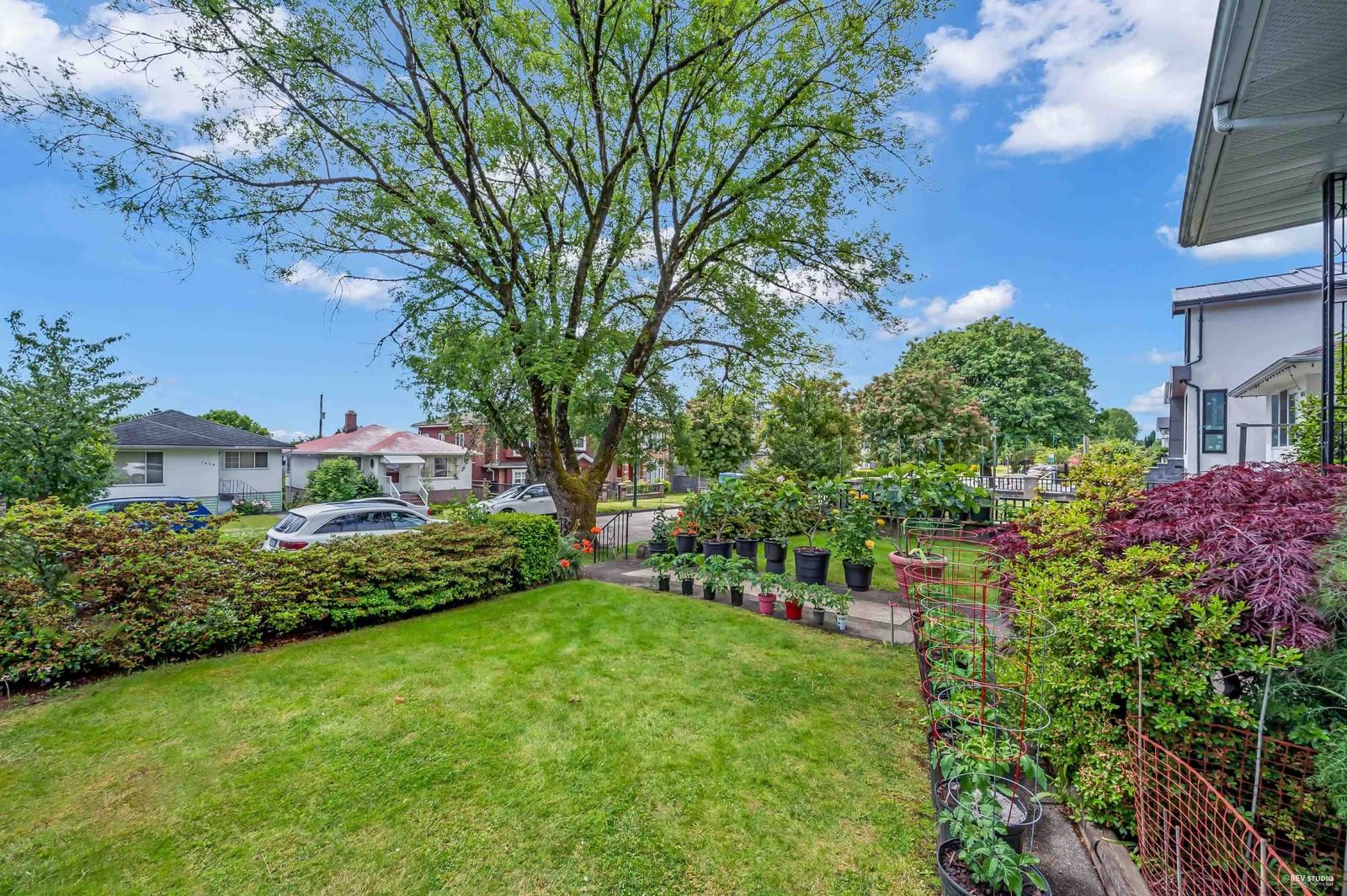 Listing Image 6