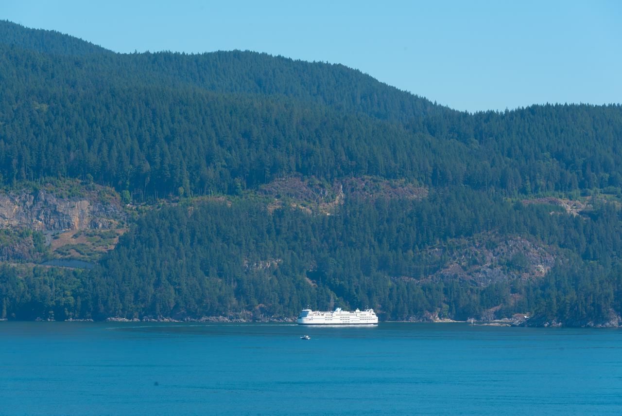 Listing Image 18
