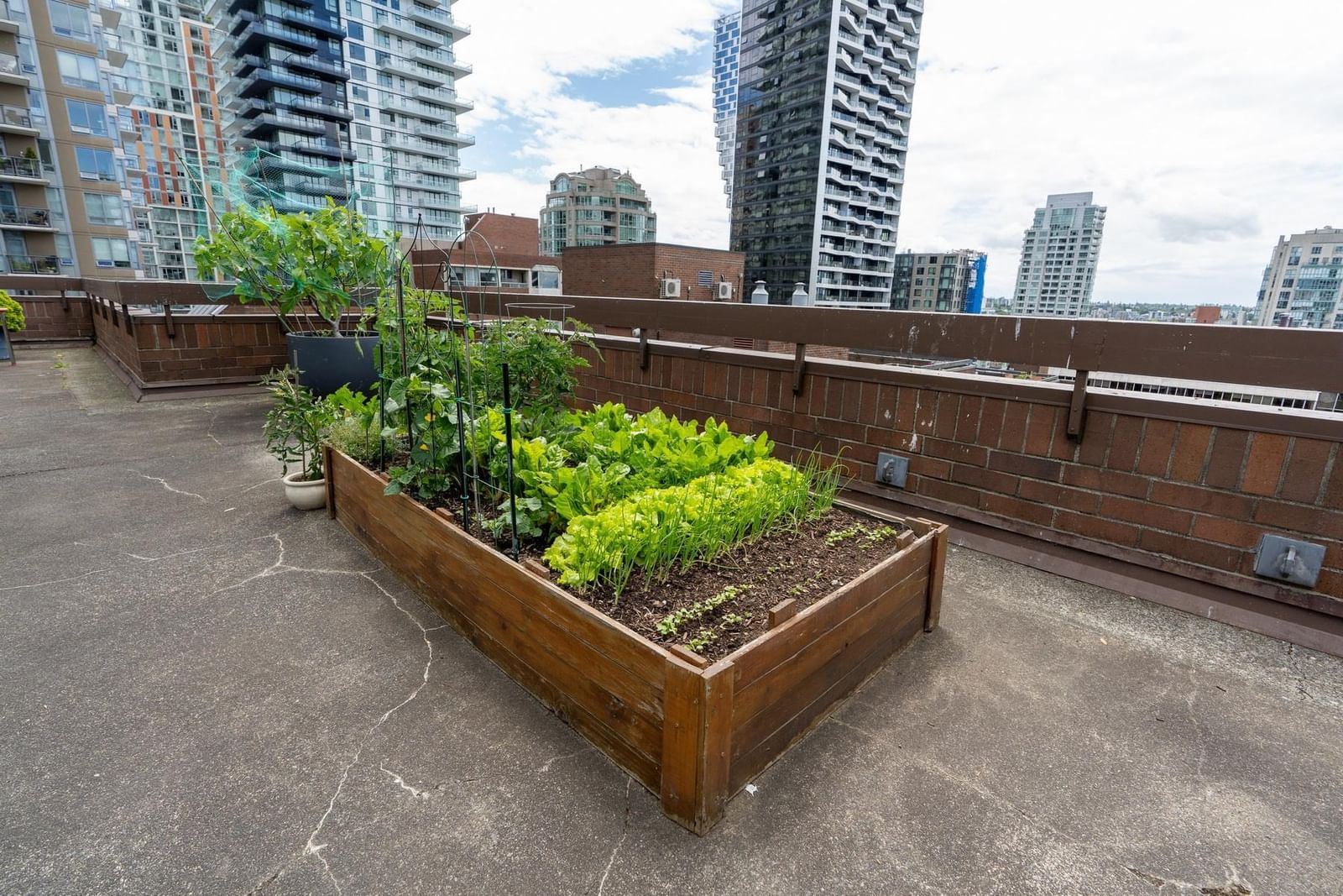 Listing Image 20