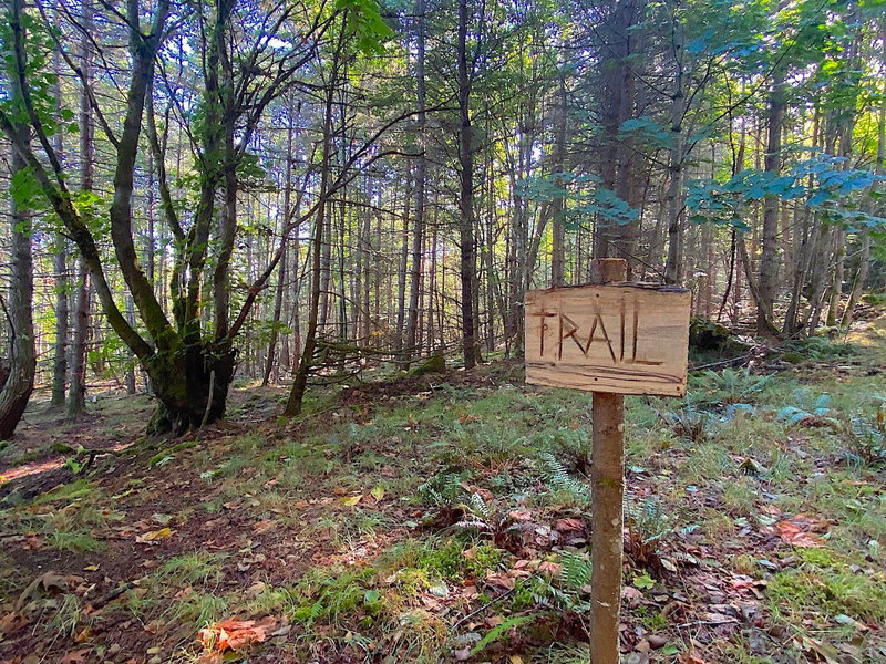 Lot 17 Dl 71 Bodega Beach Drive, Galiano Island, V9N 1P0 | Image 3