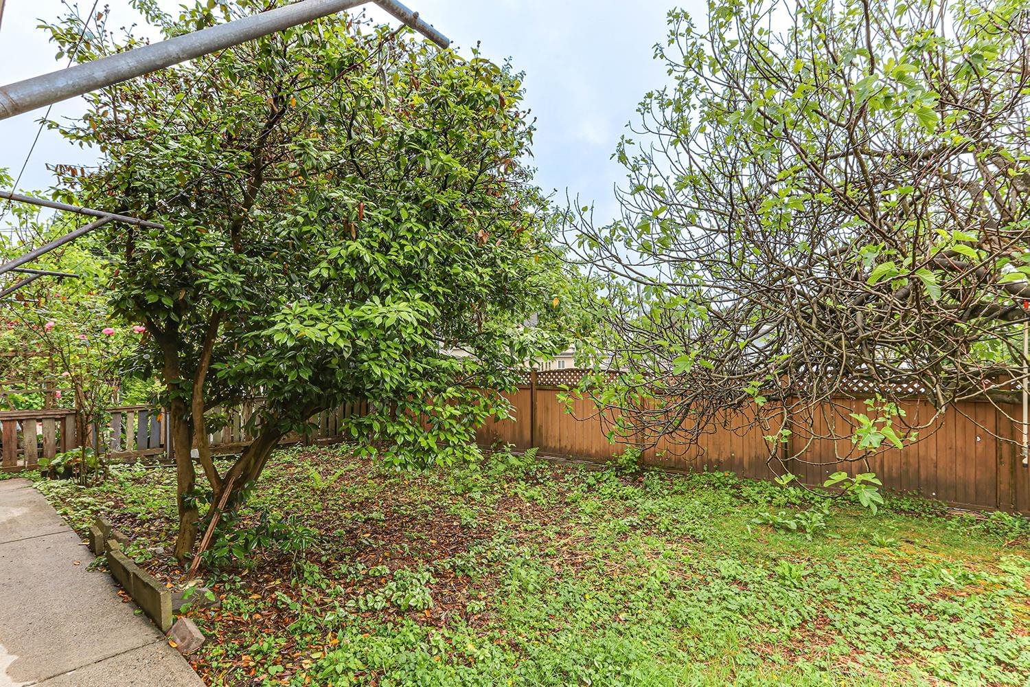 Listing Image 37