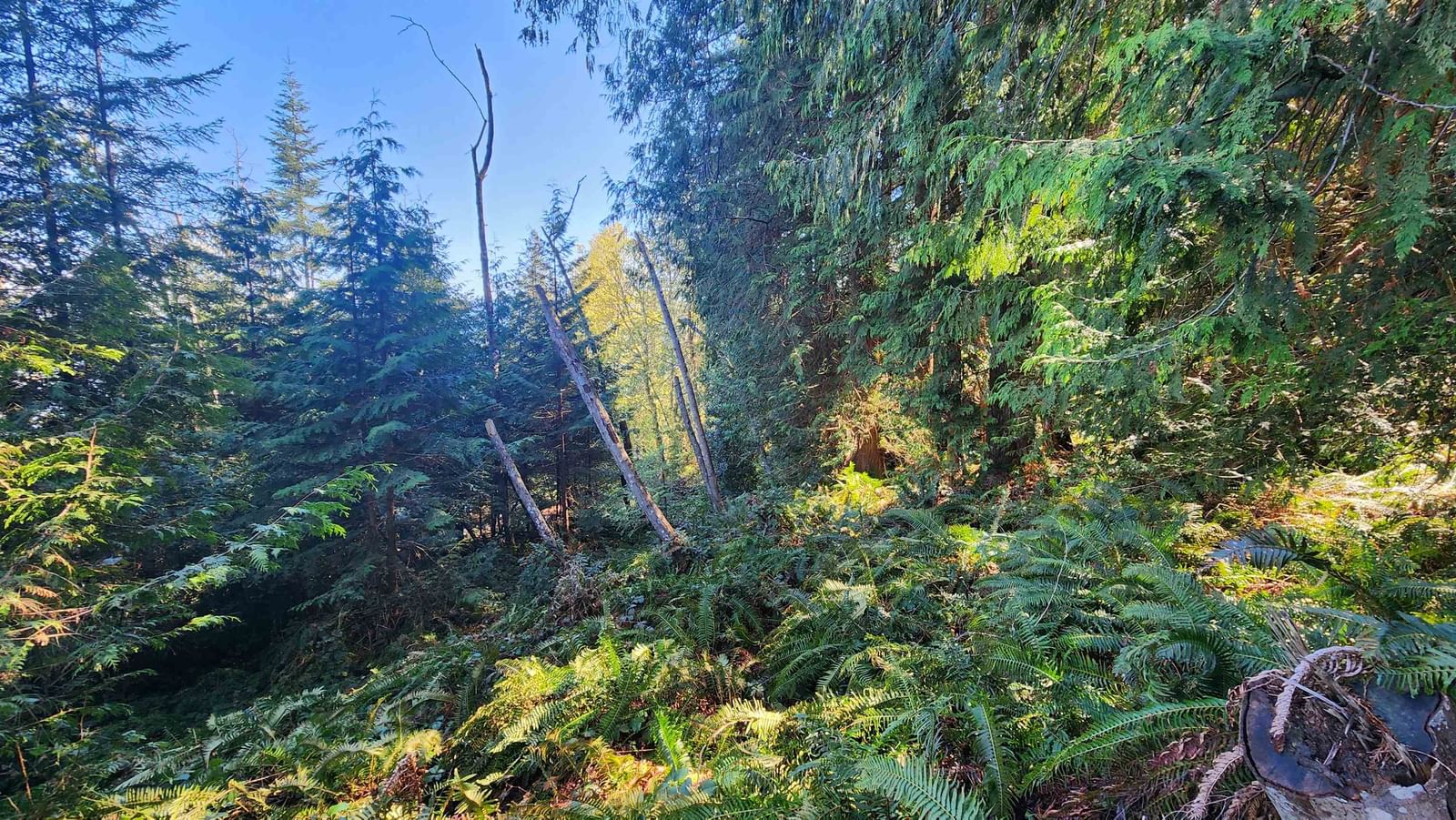 Listing Image 12