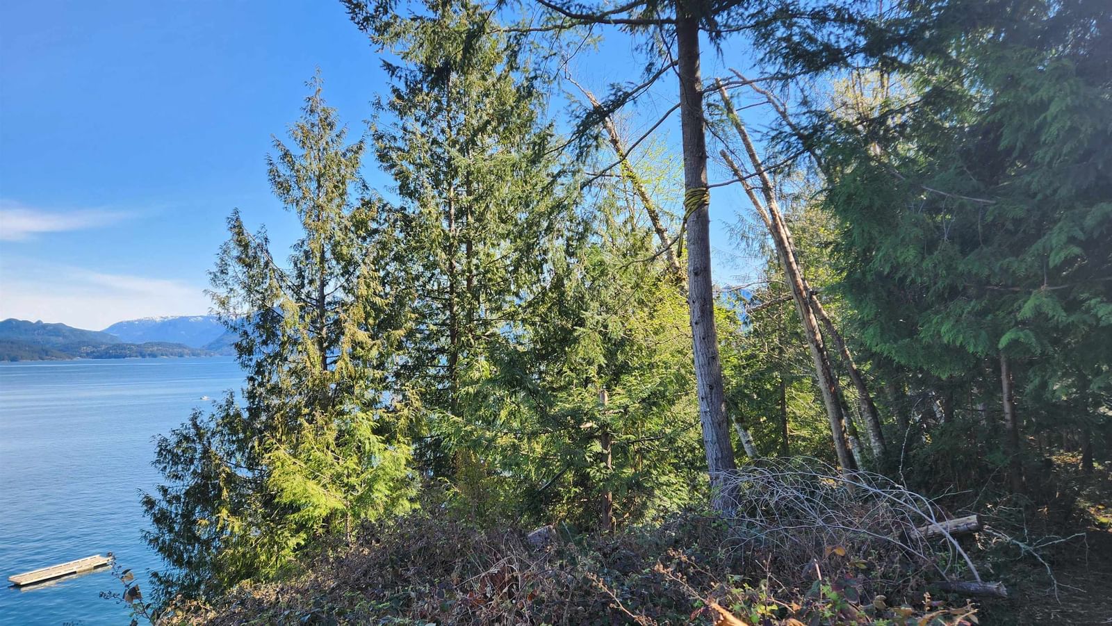 Listing Image 18