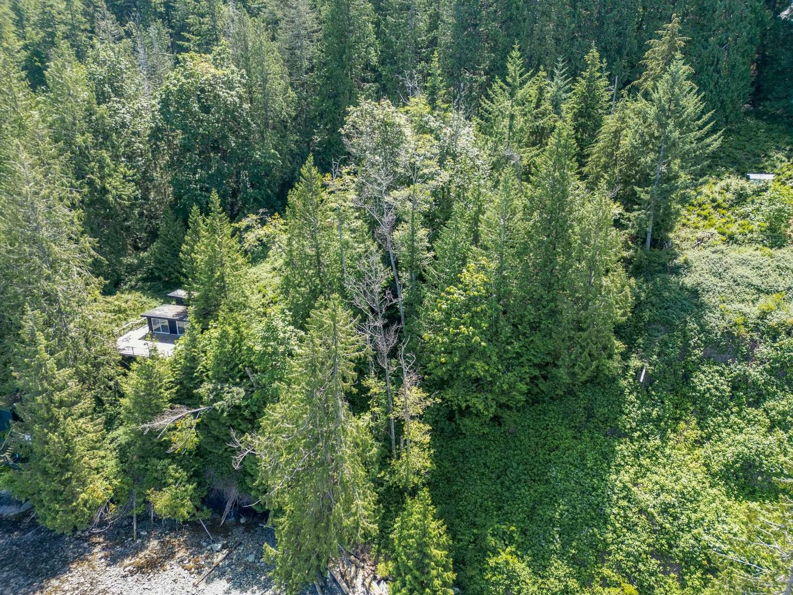 Listing Image 26