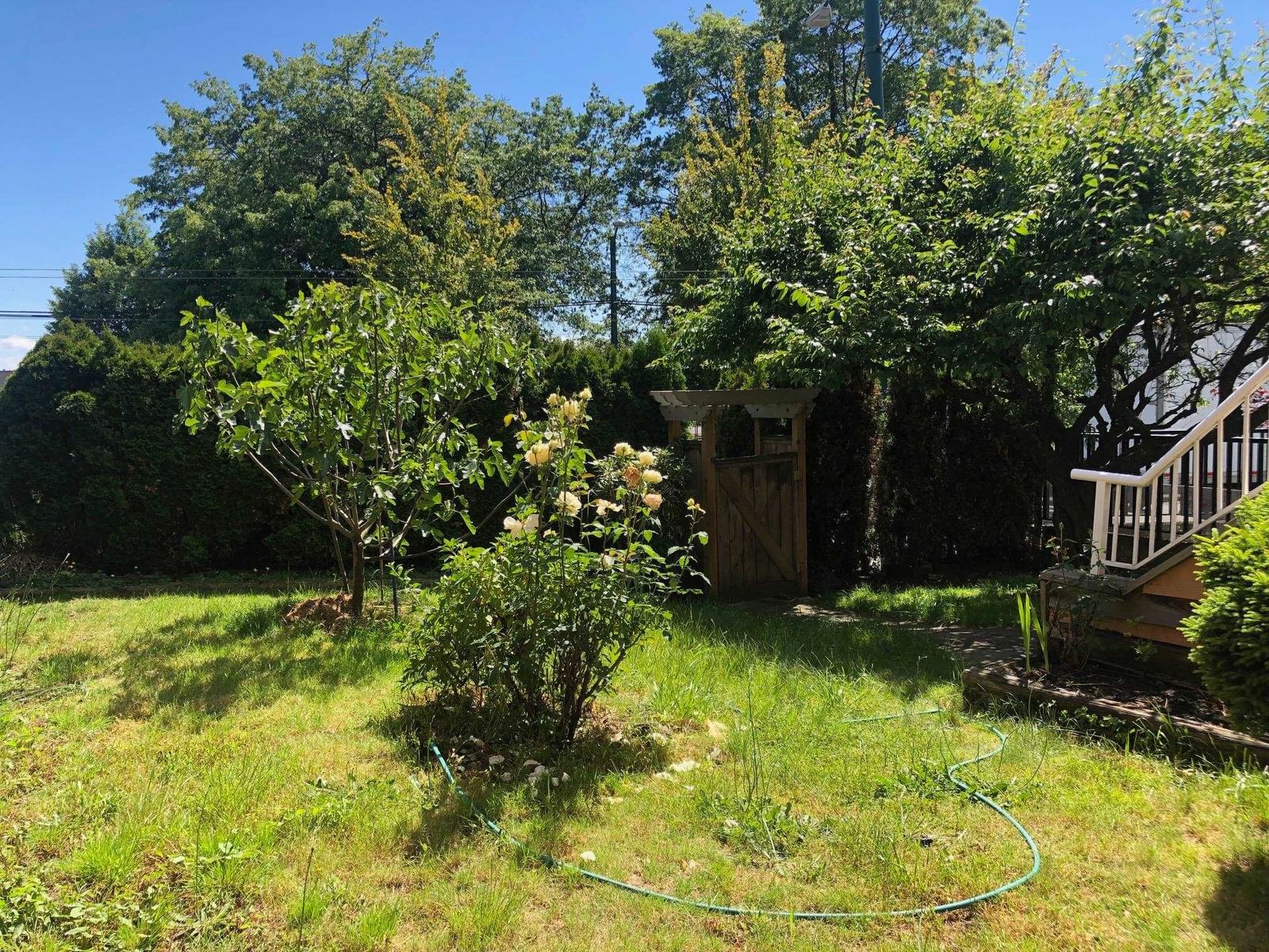 Listing Image 25