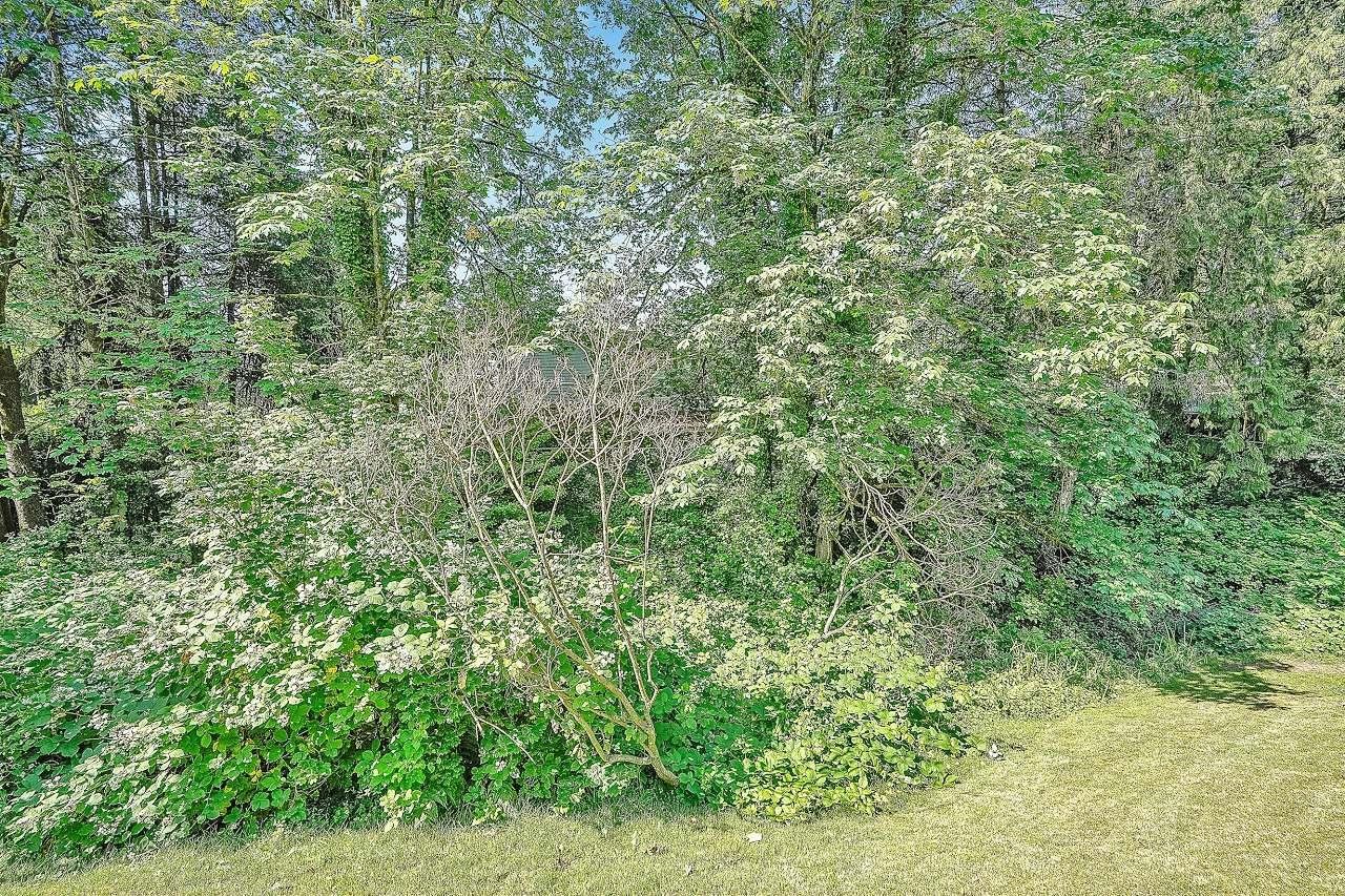 Listing Image 40