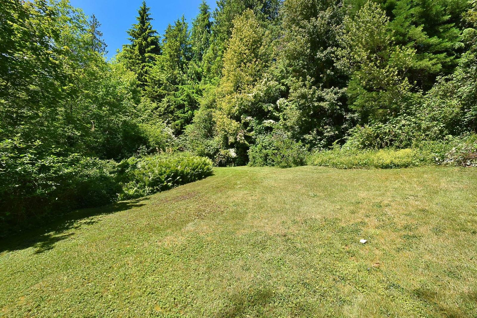 Listing Image 28