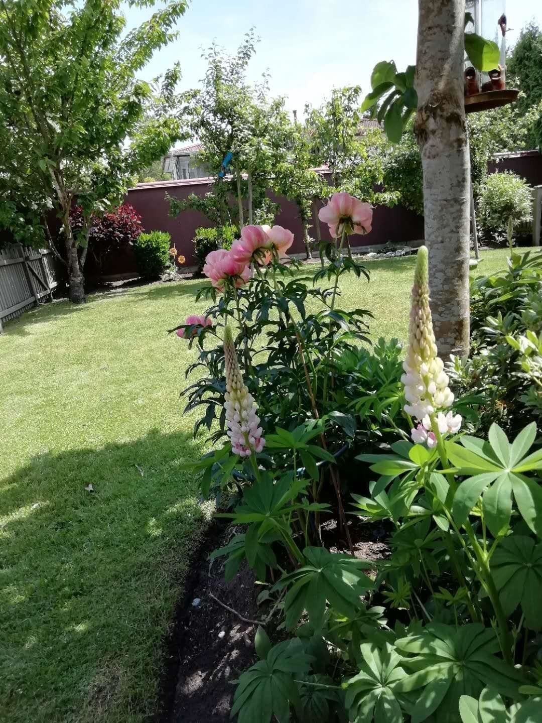 Listing Image 37
