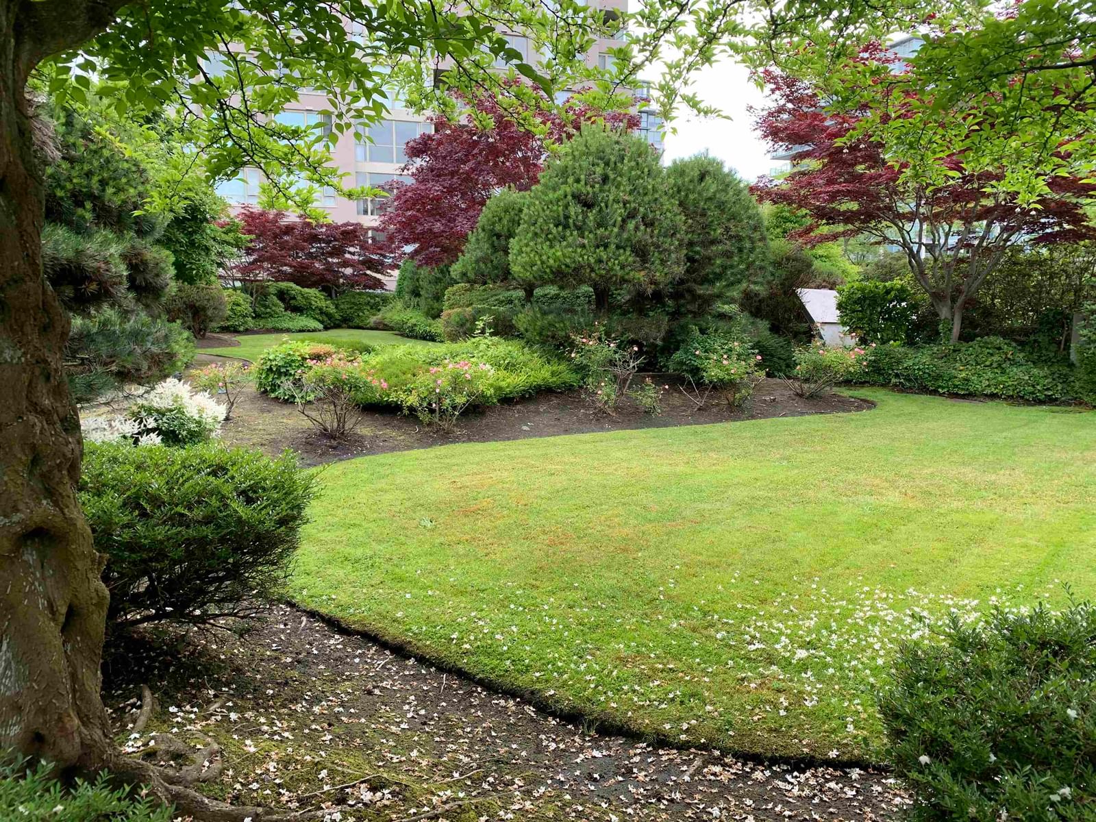 Listing Image 31