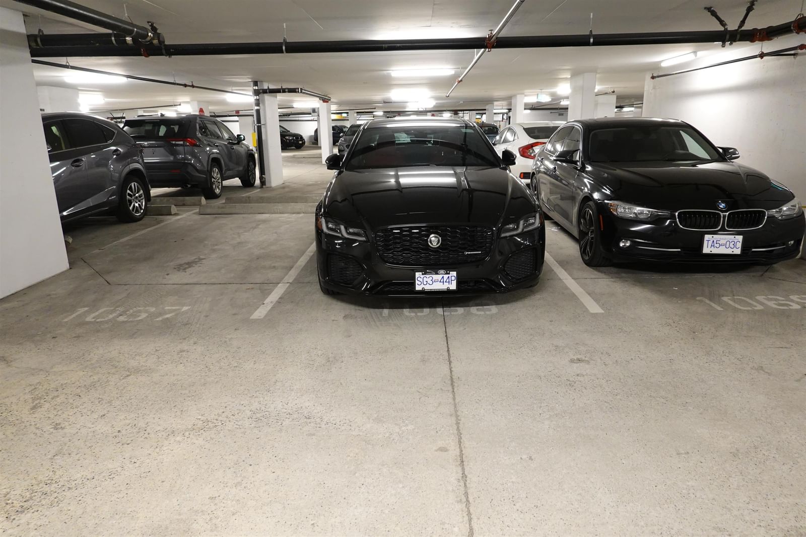 Listing Image 15