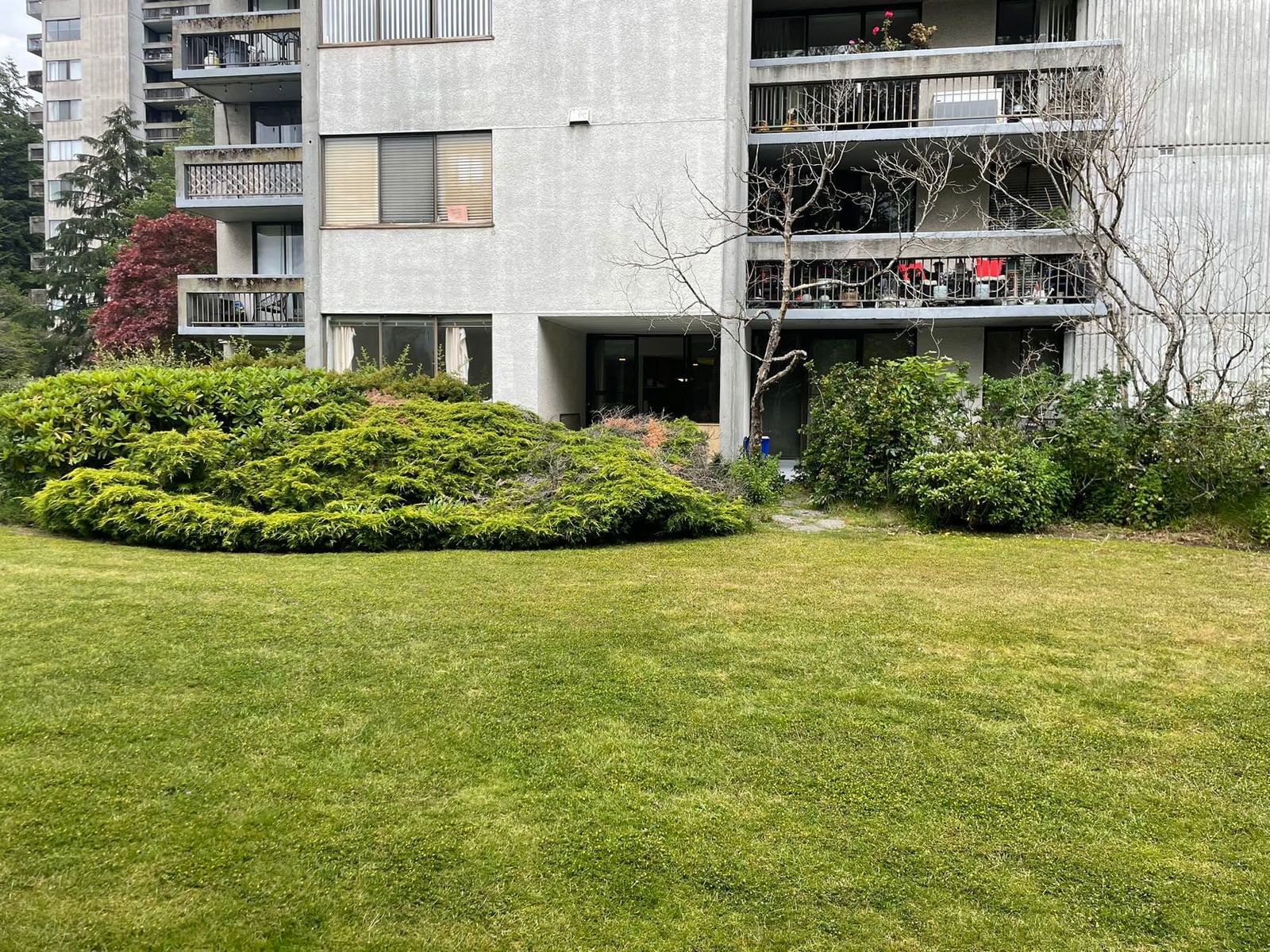 Listing Image 8