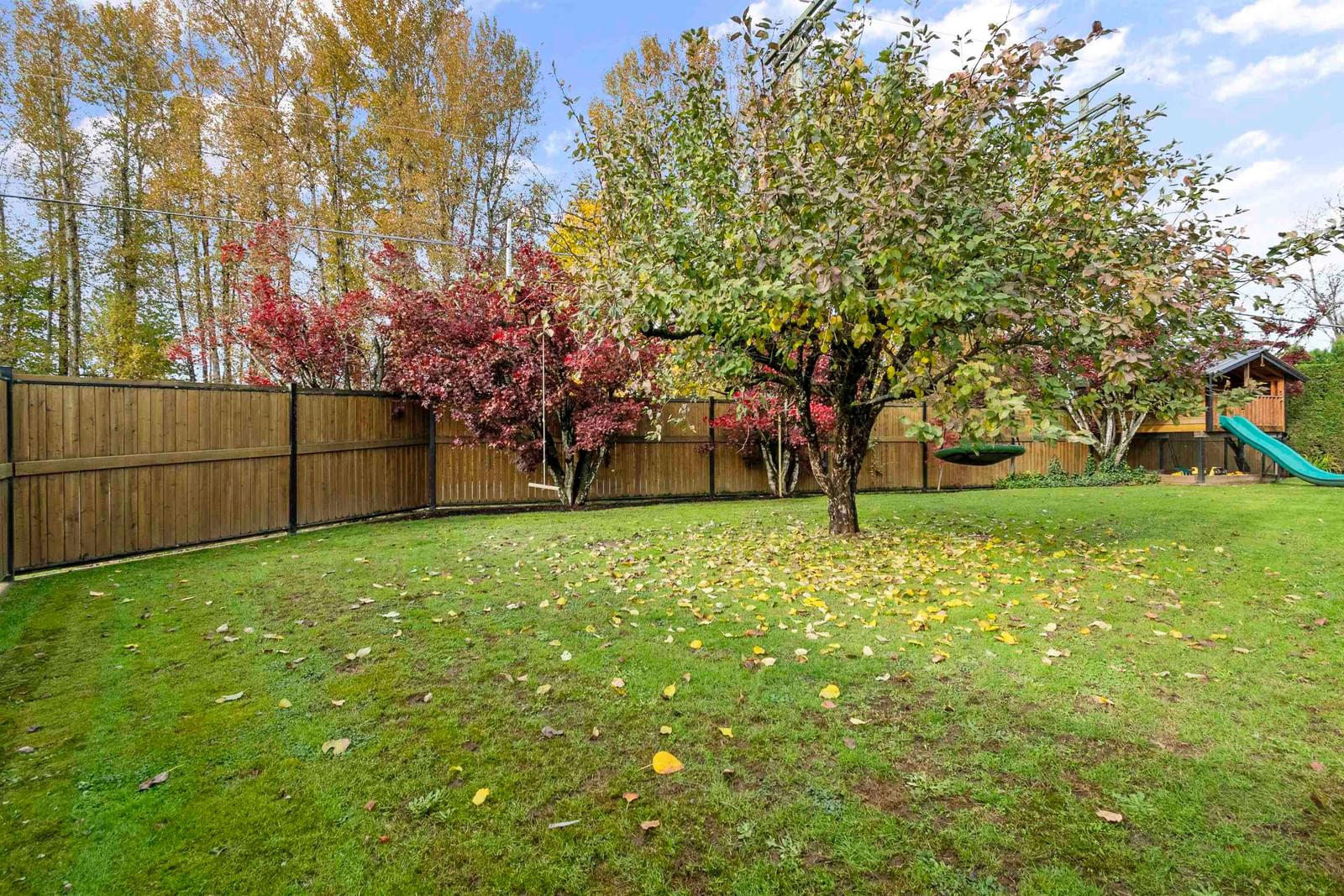 Listing Image 31