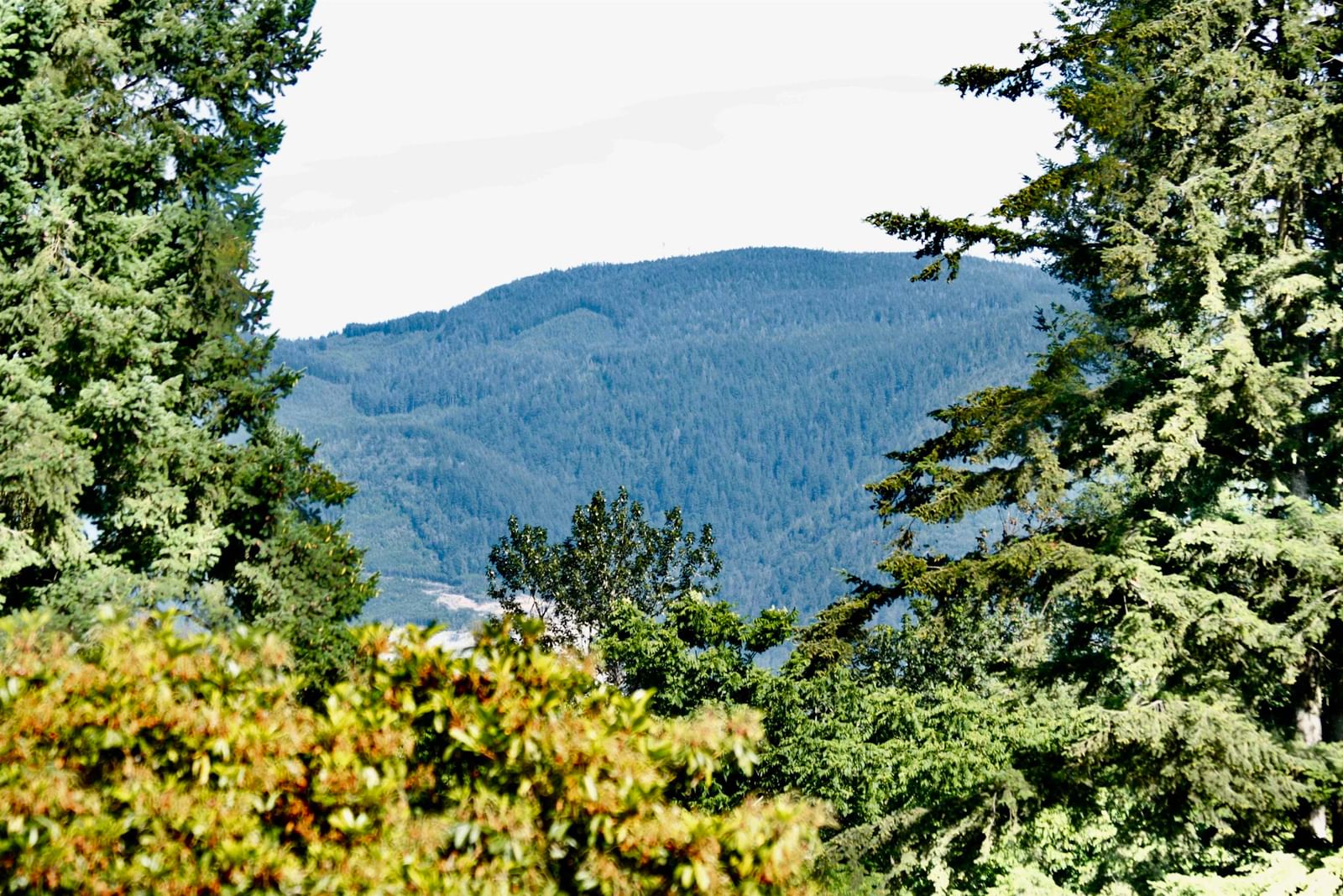 Listing Image 39