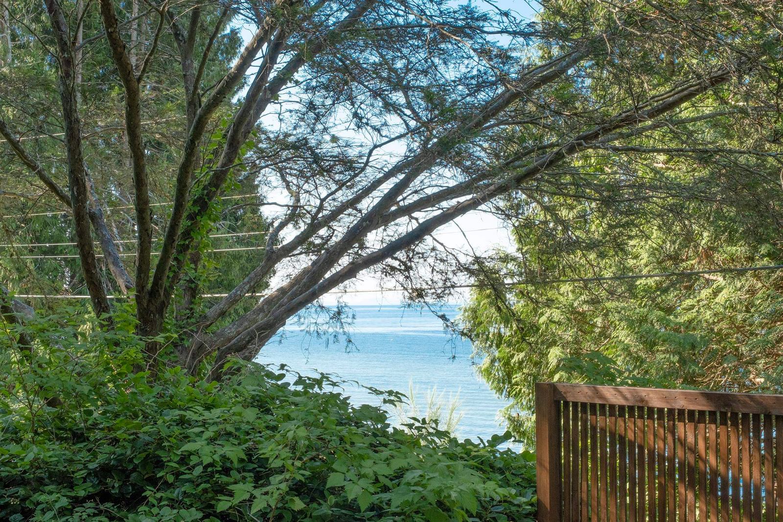 Listing Image 37