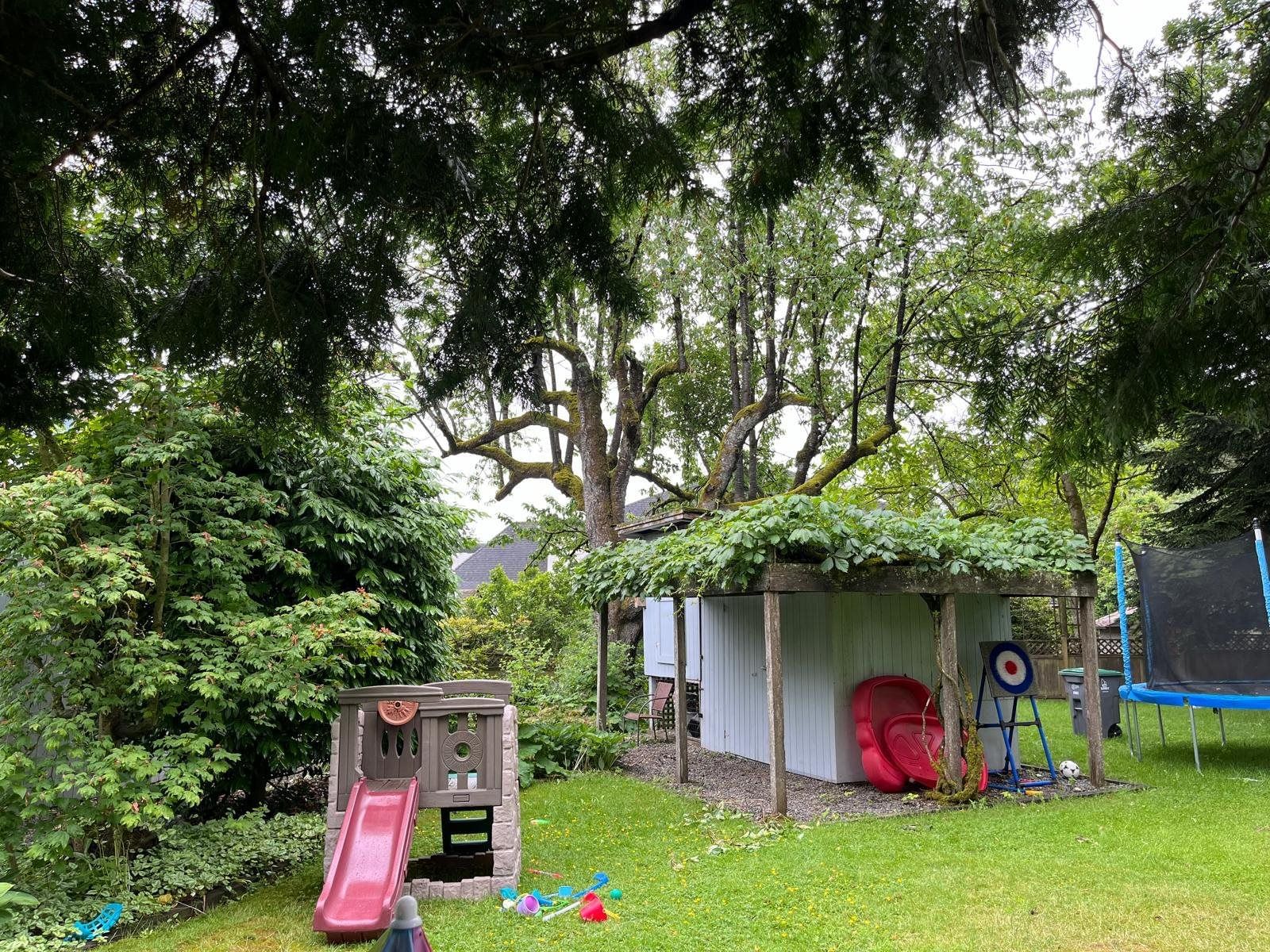Listing Image 16