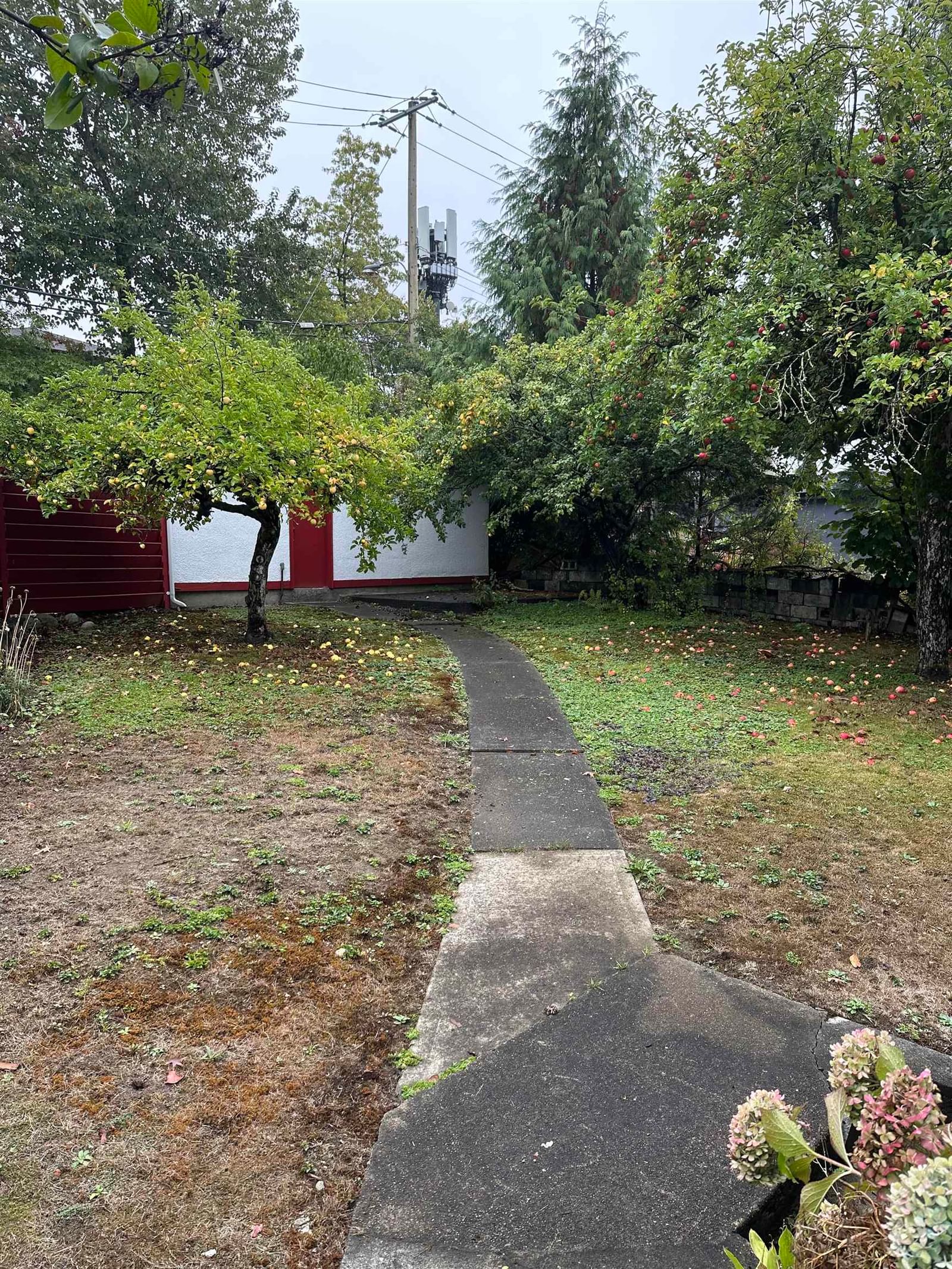 Listing Image 10