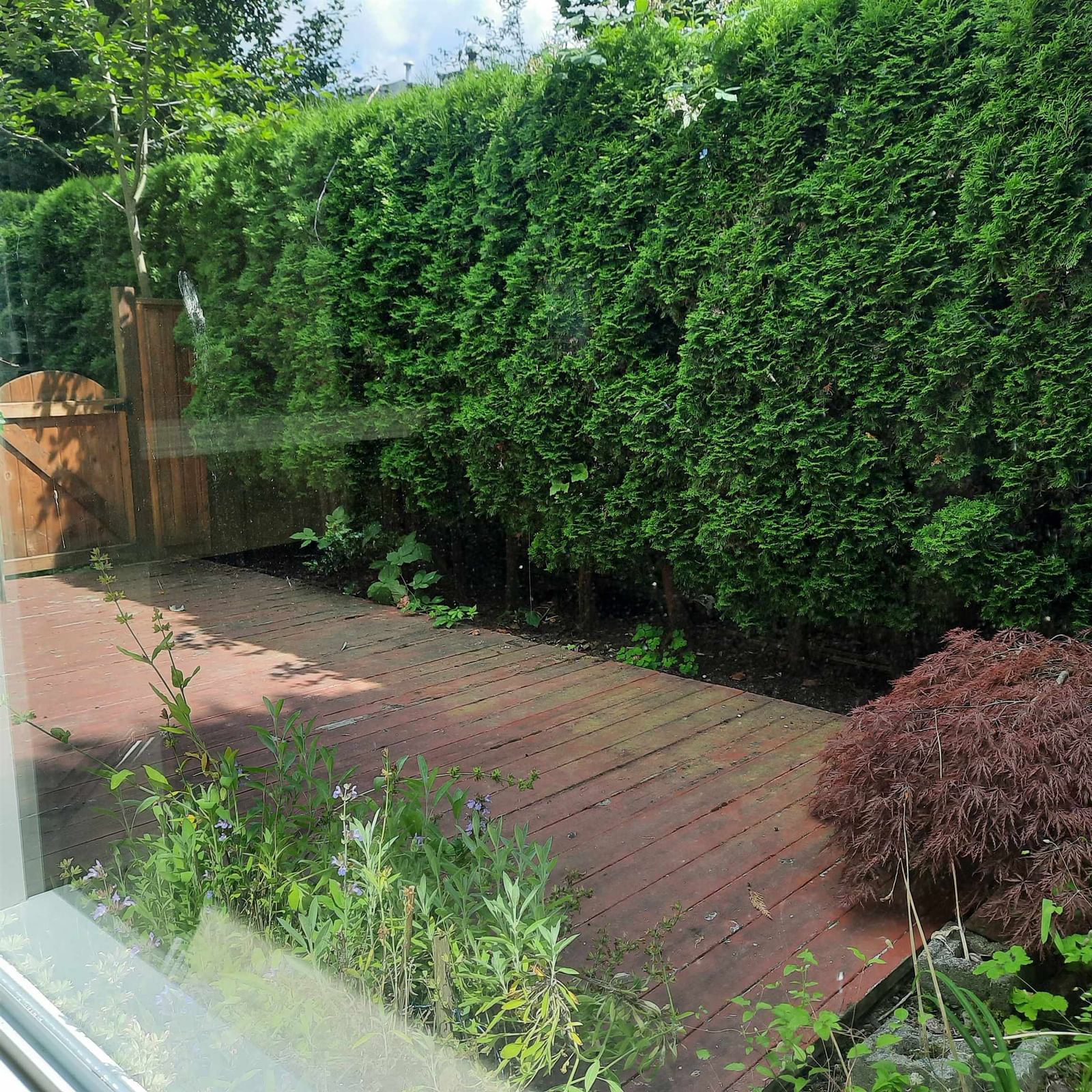 Listing Image 14