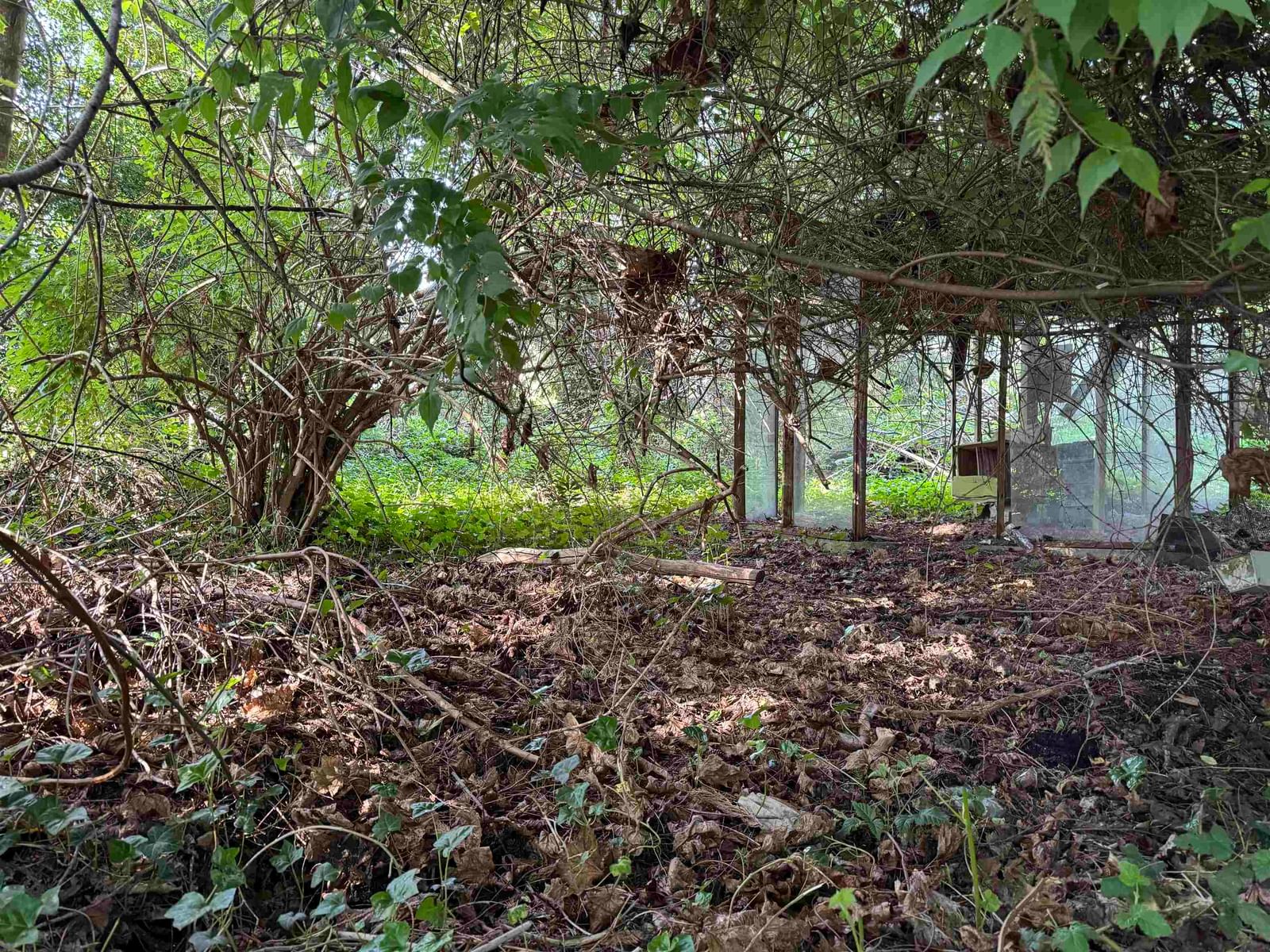Listing Image 19