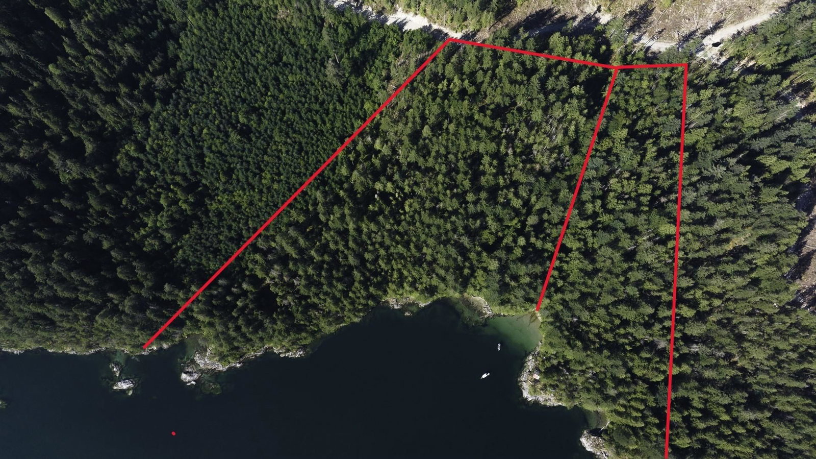 Listing Image 5