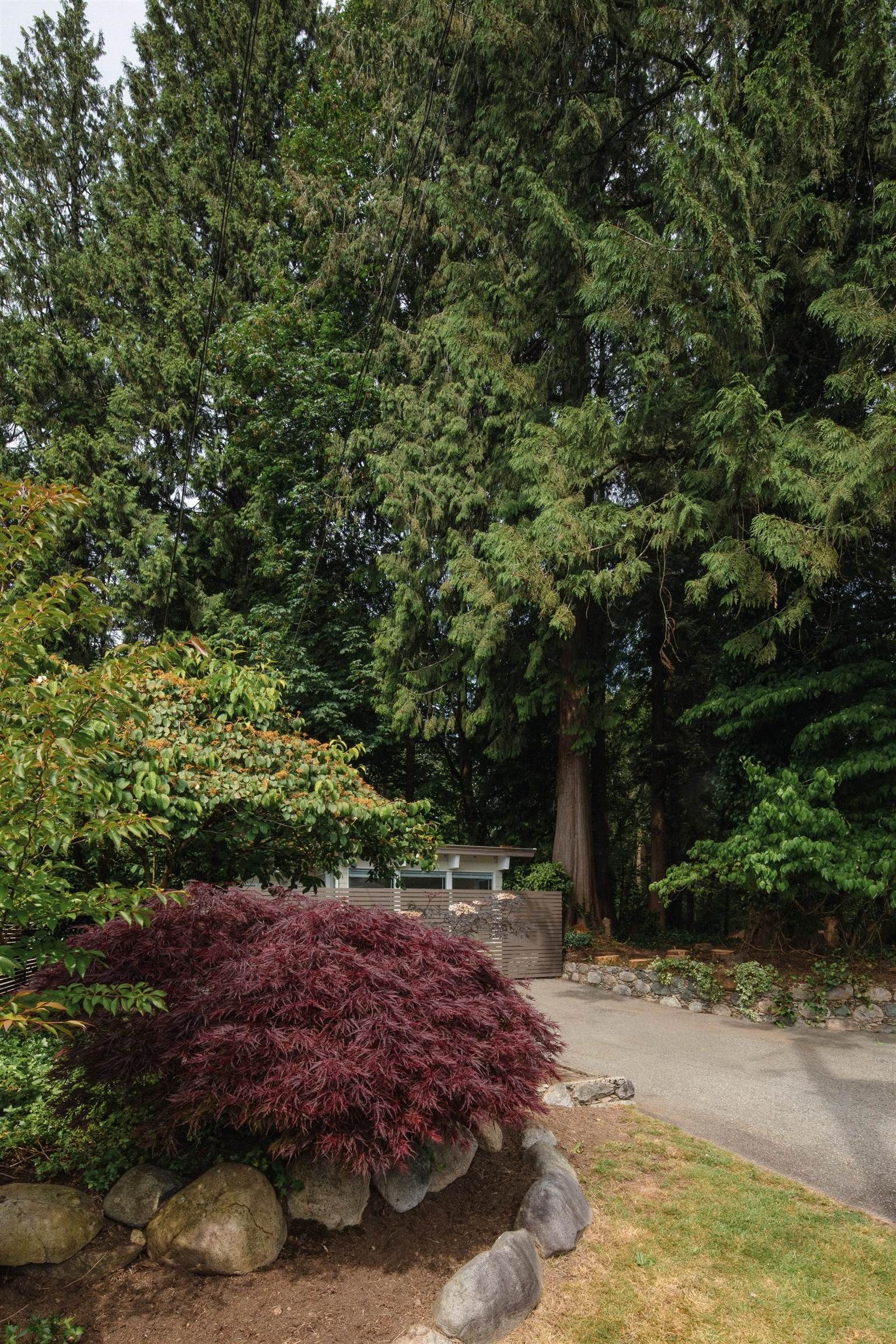 Listing Image 39