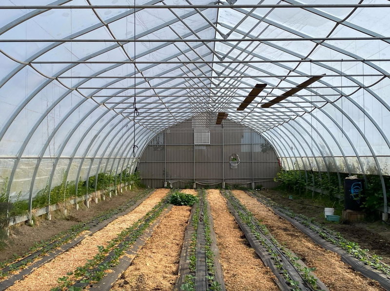 556 Bluff Road, Galiano Island, V0N 1P0 | Image 3