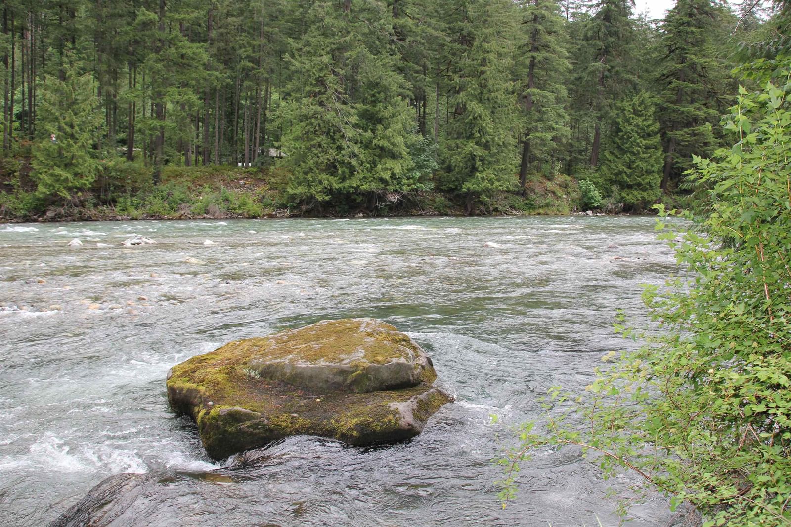 Listing Image 36