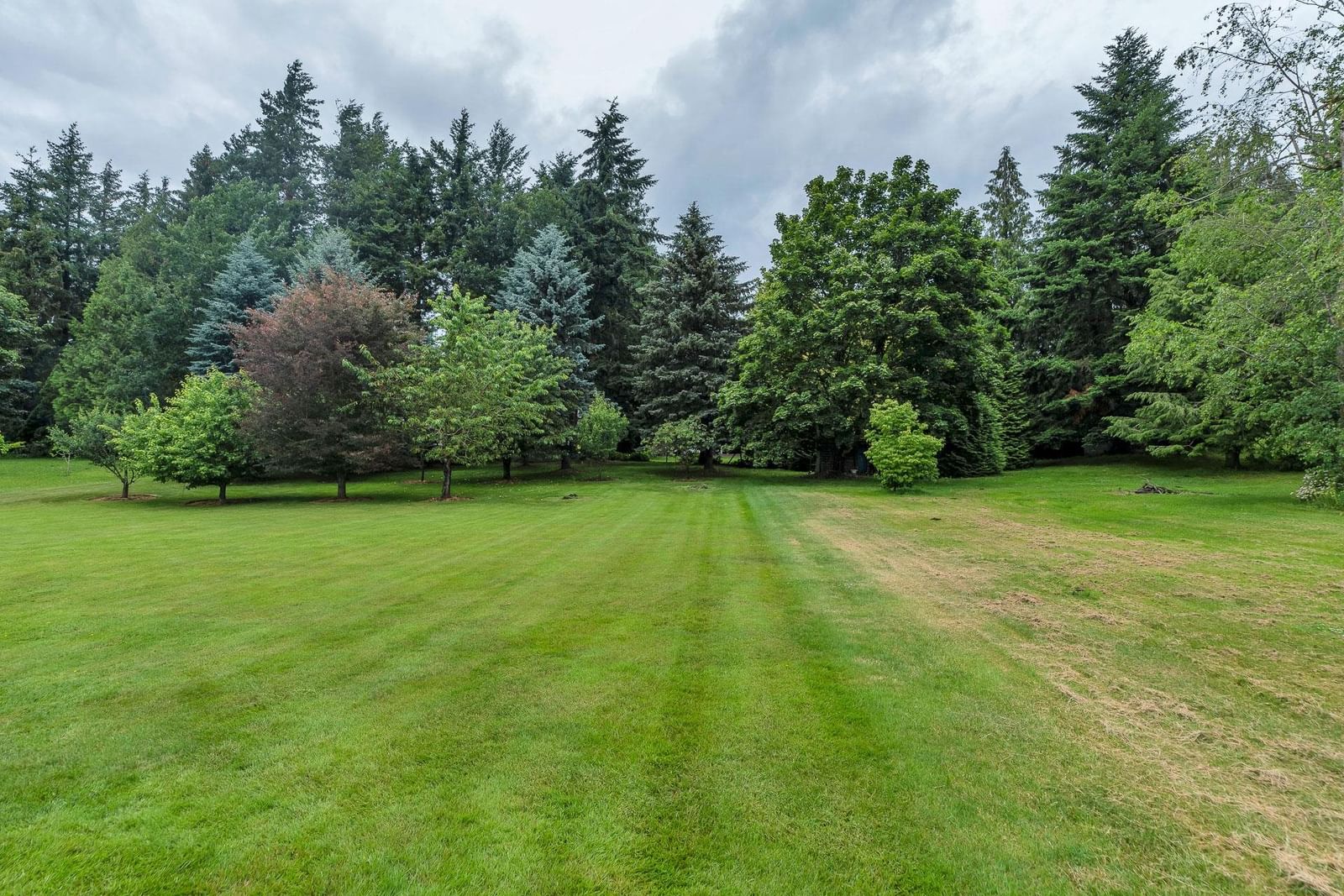 Listing Image 39