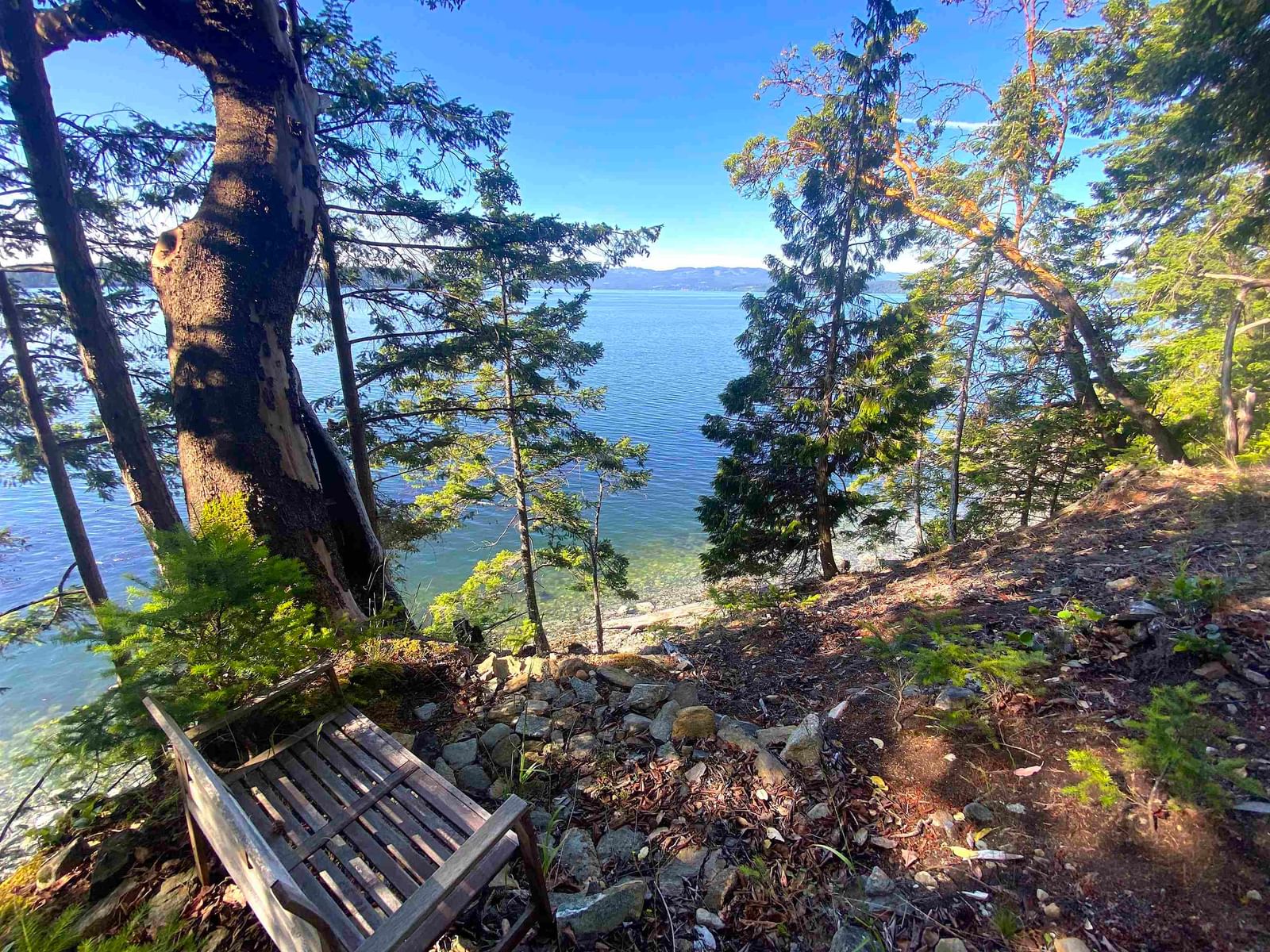 Listing Image 9