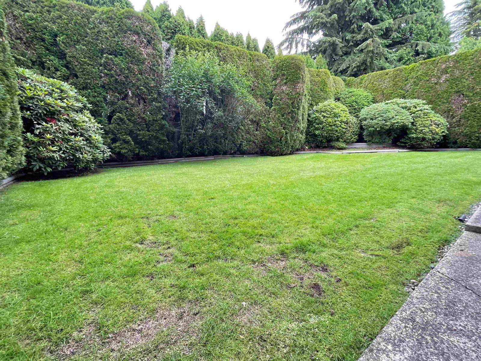Listing Image 39