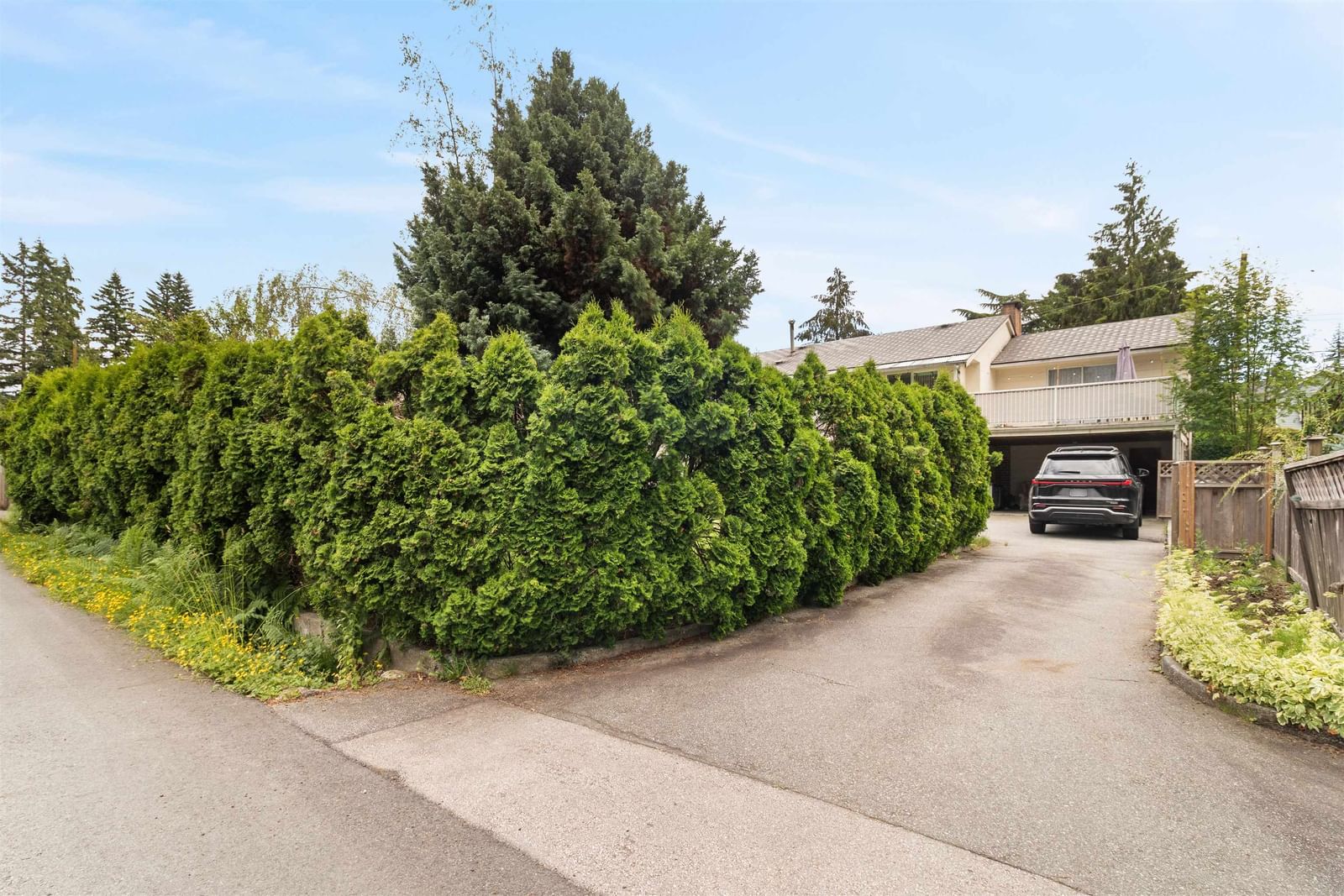 Listing Image 32