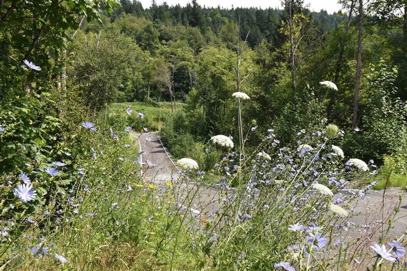 48875 Elk View Road, Chilliwack, V4Z 1G7 | Image 2